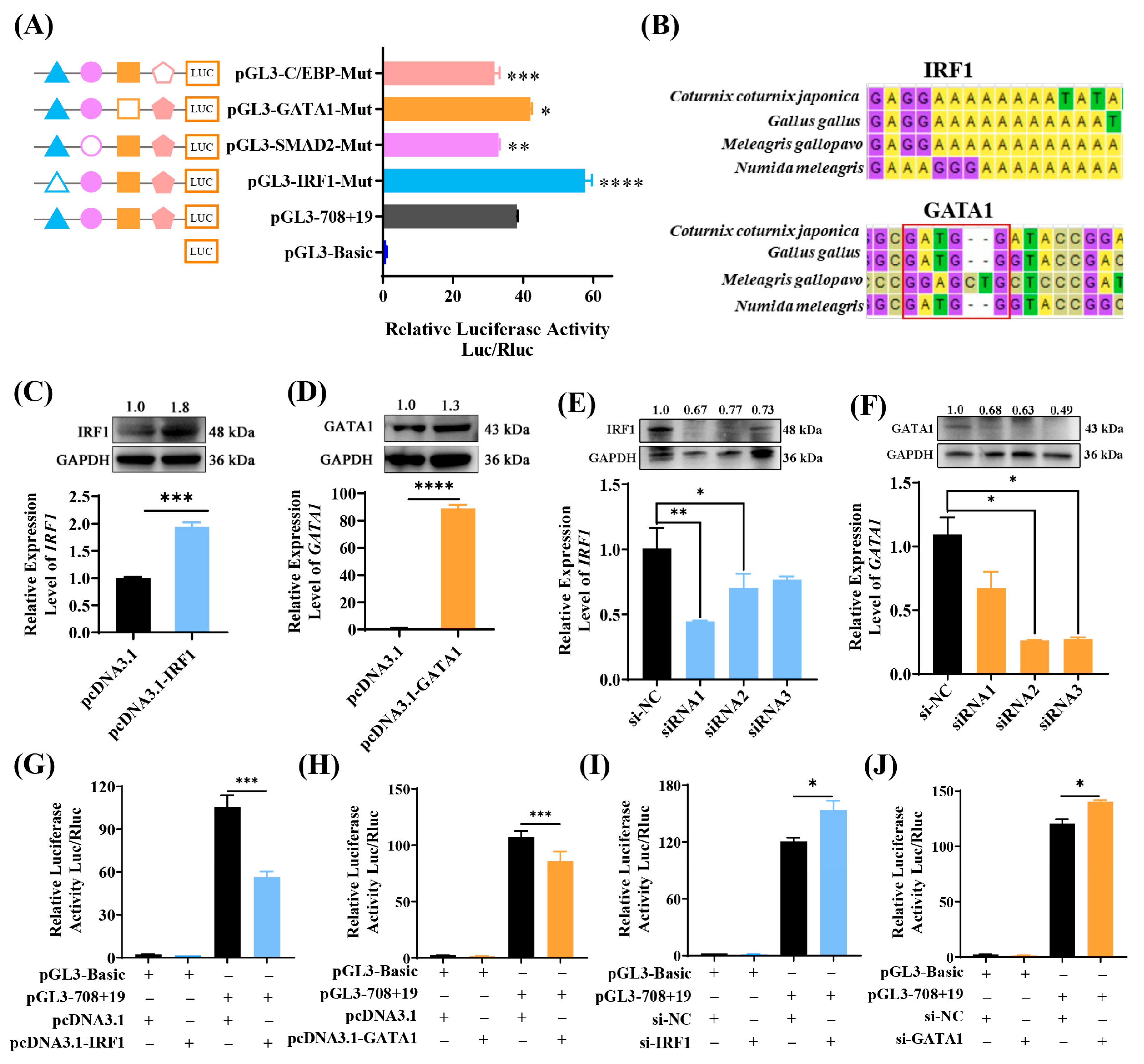Animals 15 00665 g004