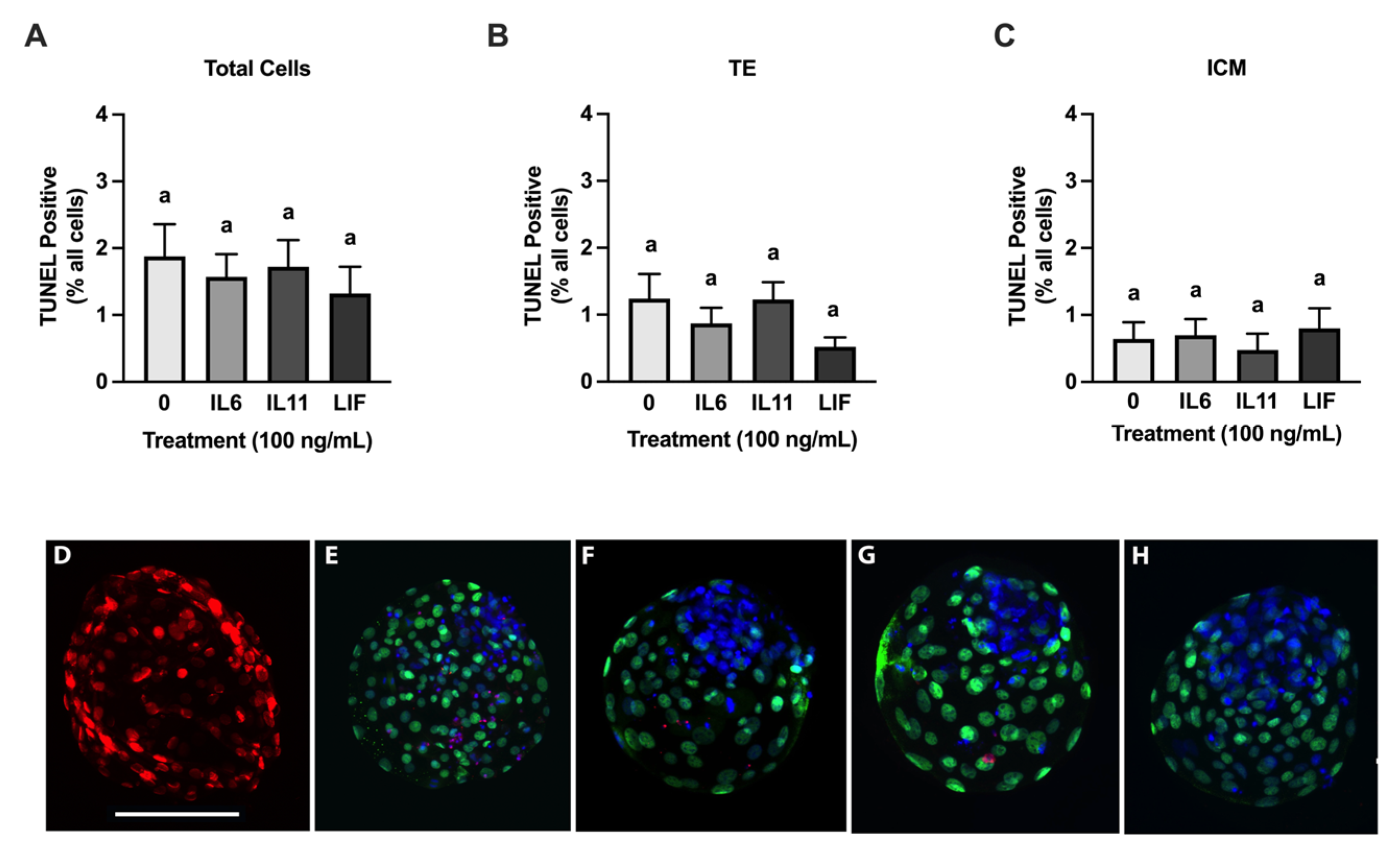 Animals 15 00668 g005 Animals 15 00668 g005