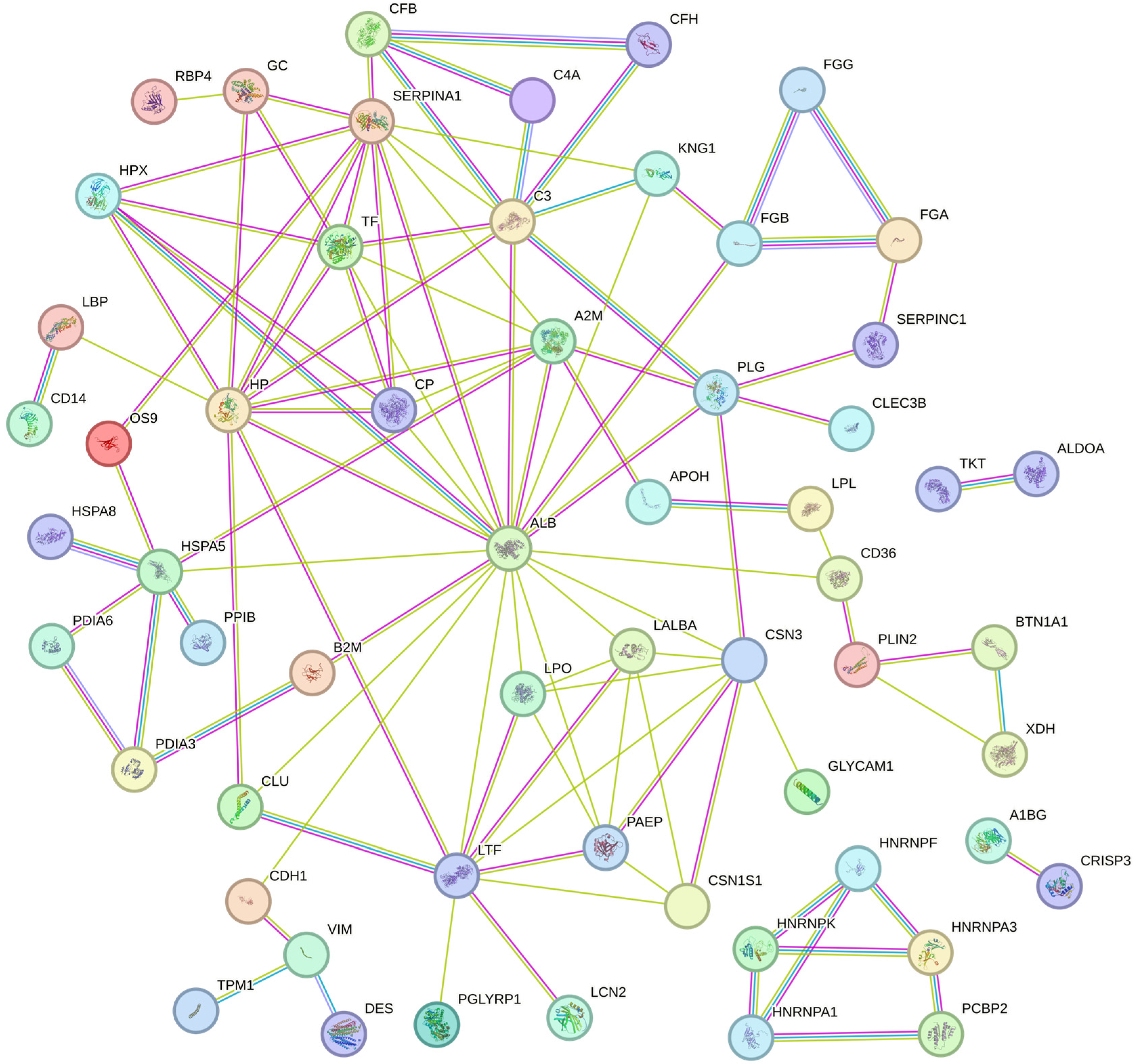 Animals 15 00675 g002