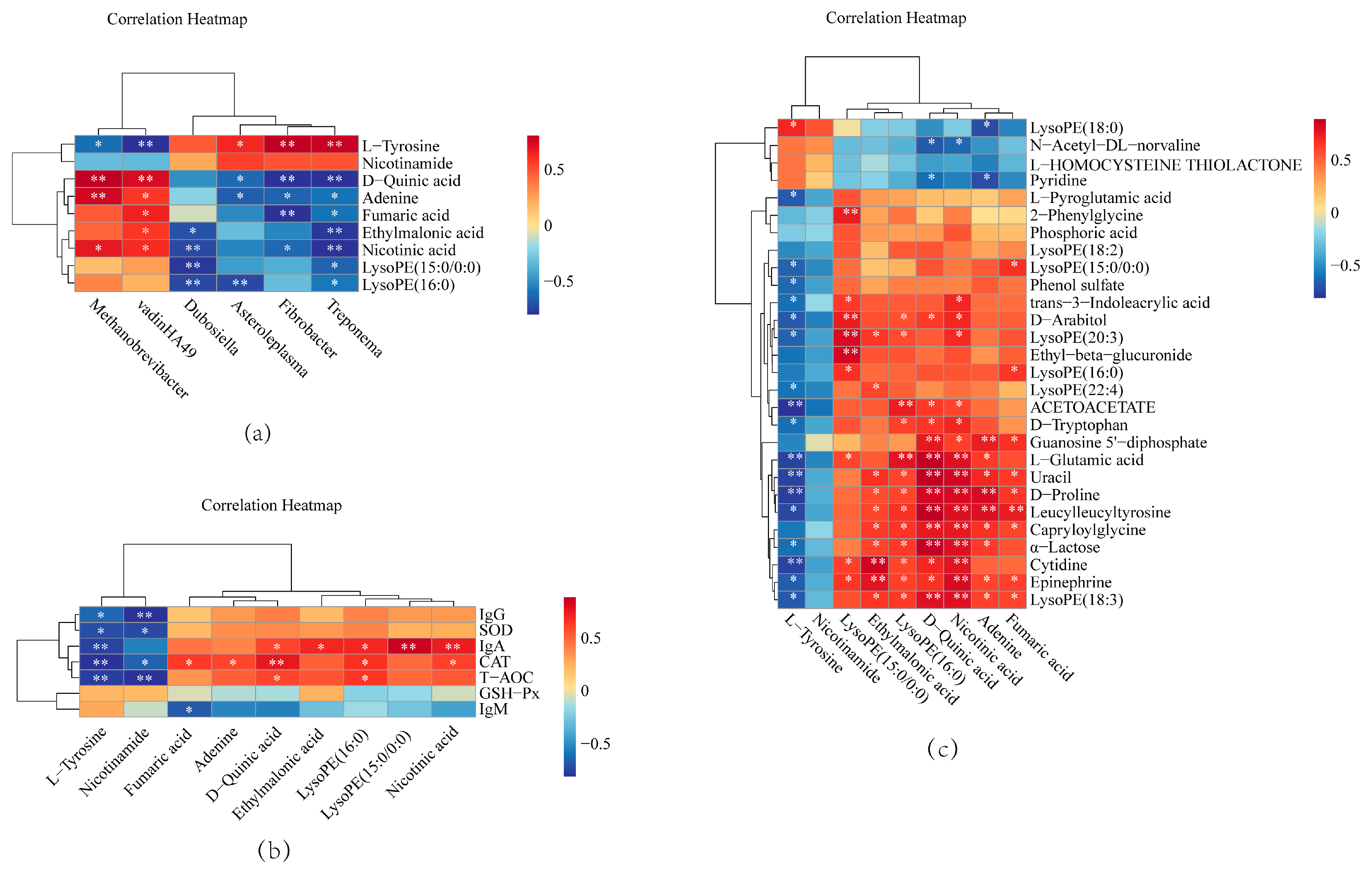 Animals 15 00676 g007 Animals 15 00676 g007