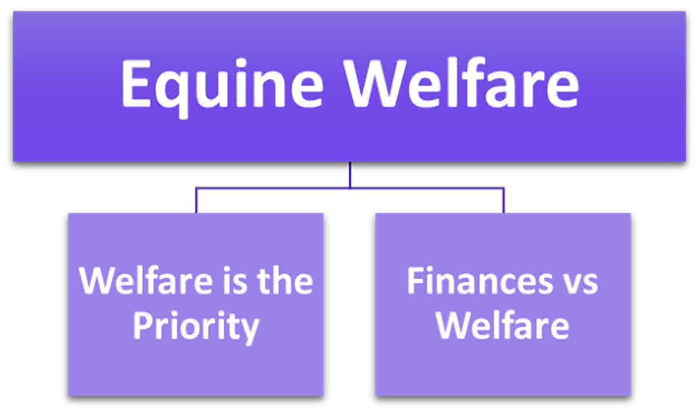 Animals 15 00678 g002