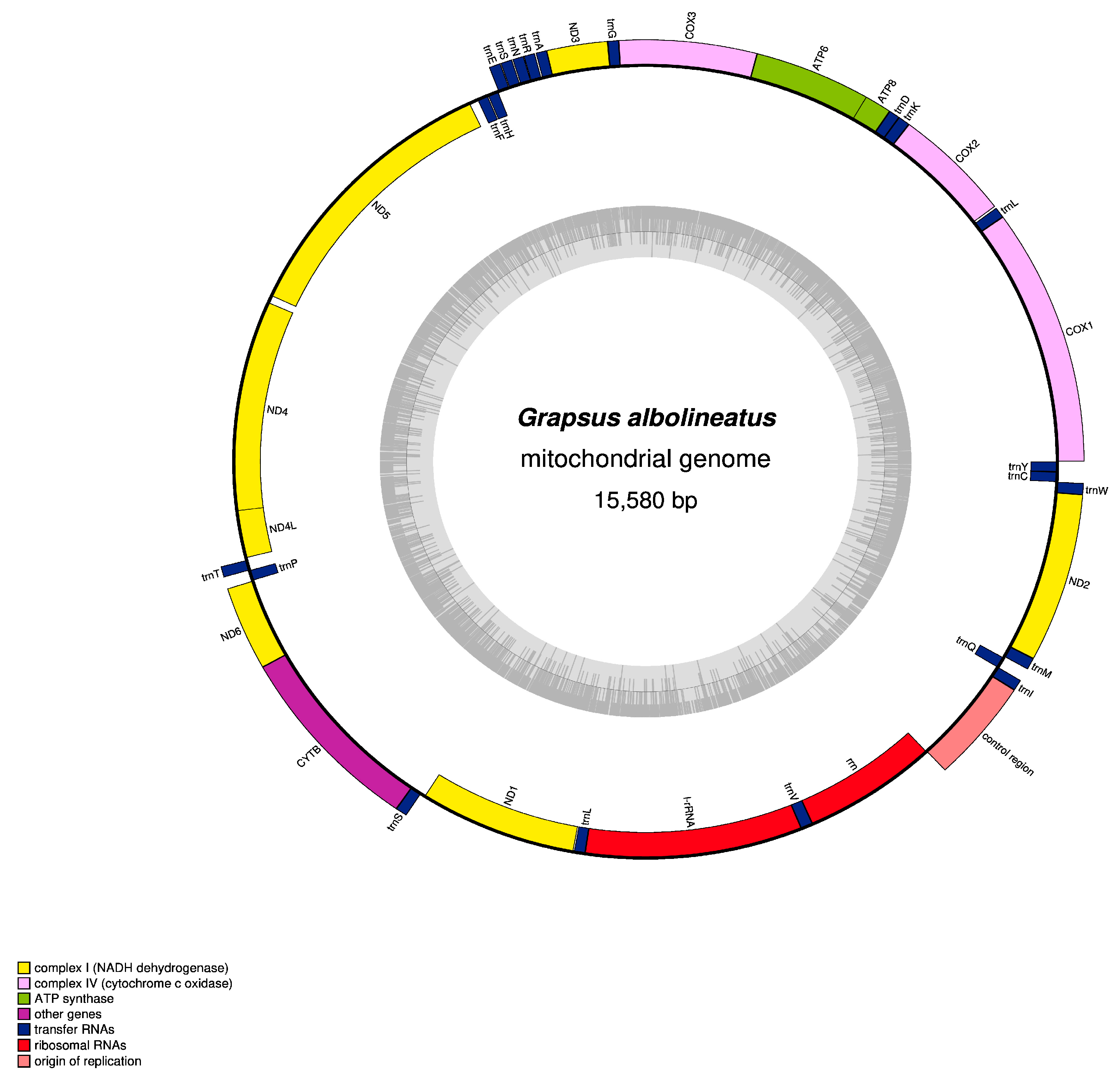 Animals 15 00679 g001