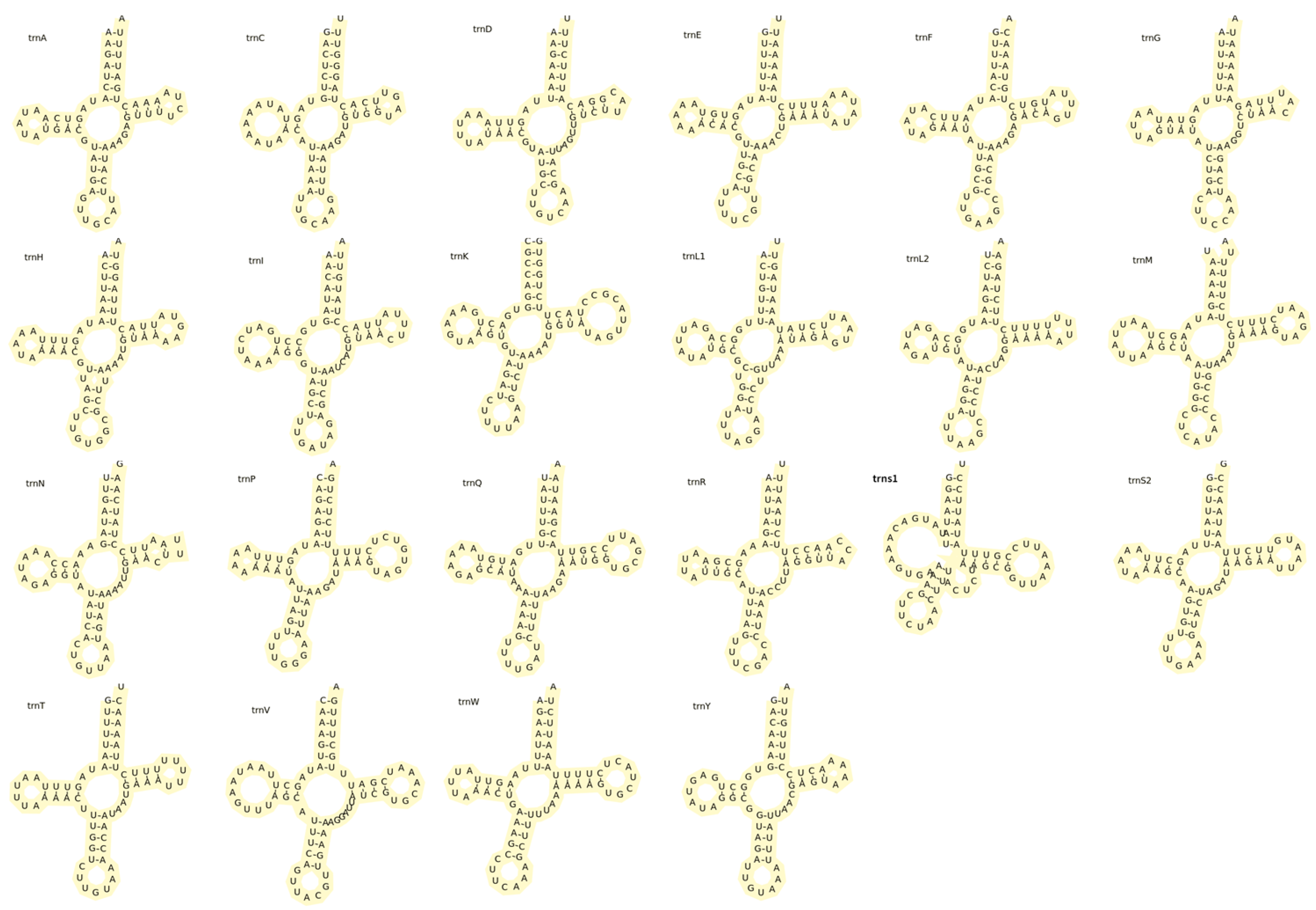 Animals 15 00679 g003