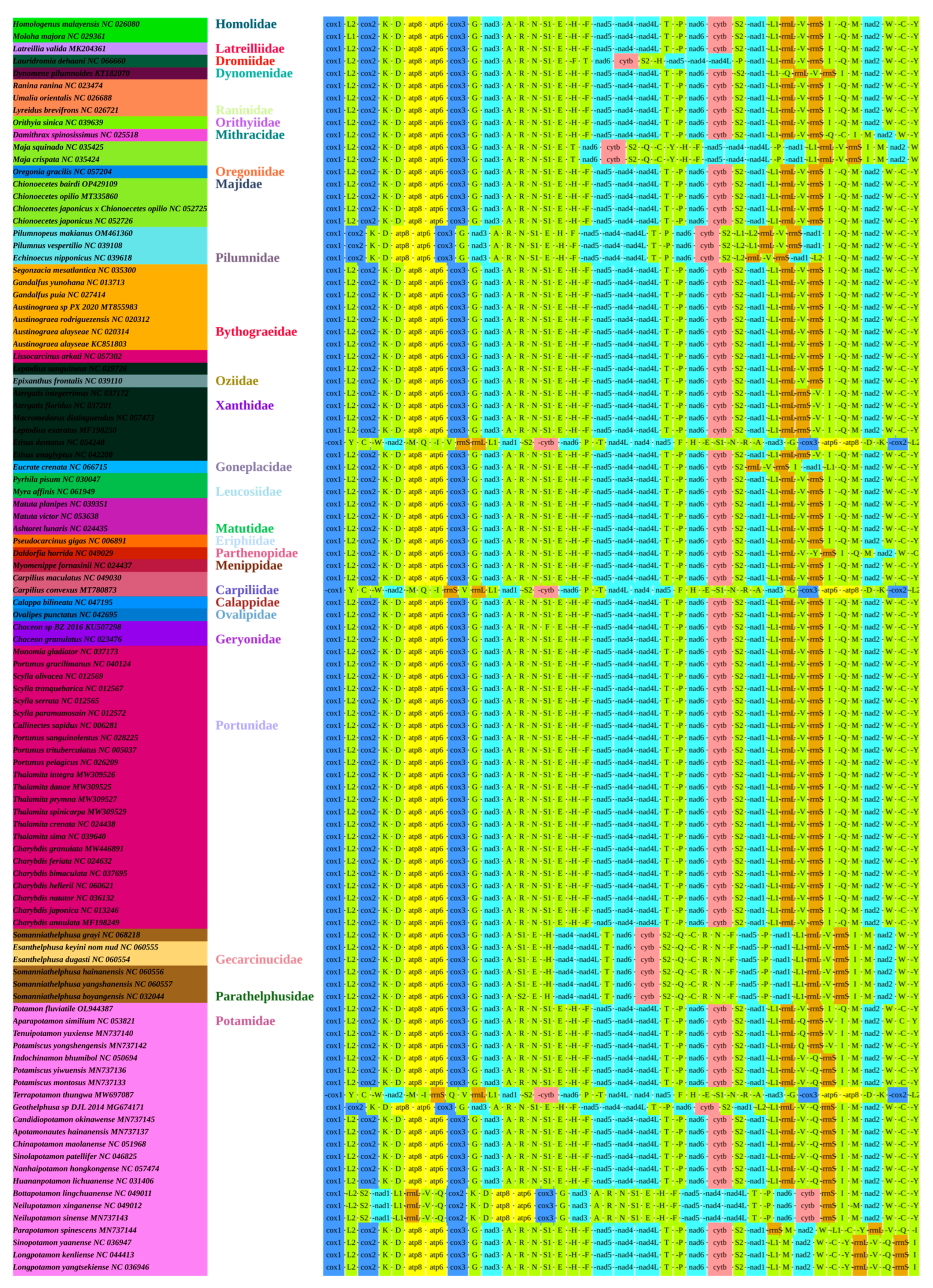 Animals 15 00679 g004