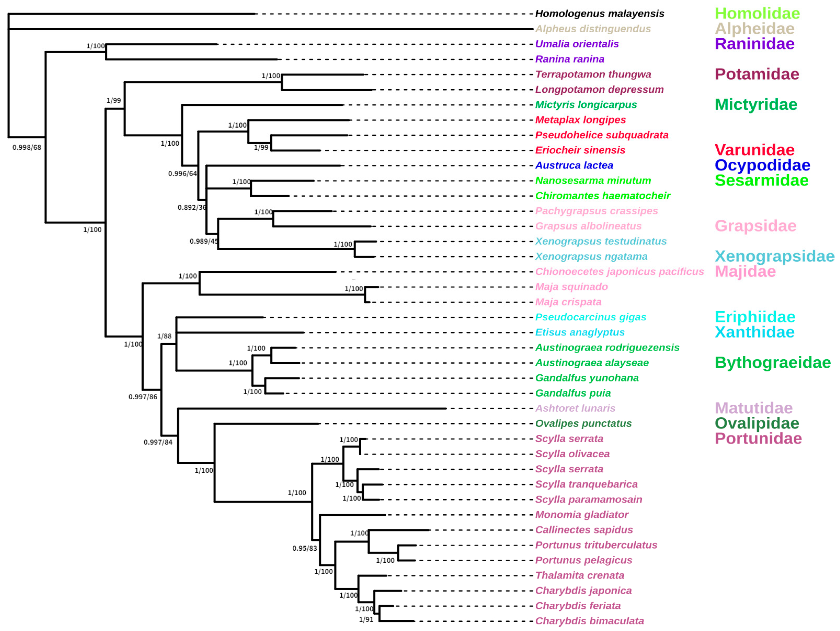 Animals 15 00679 g006