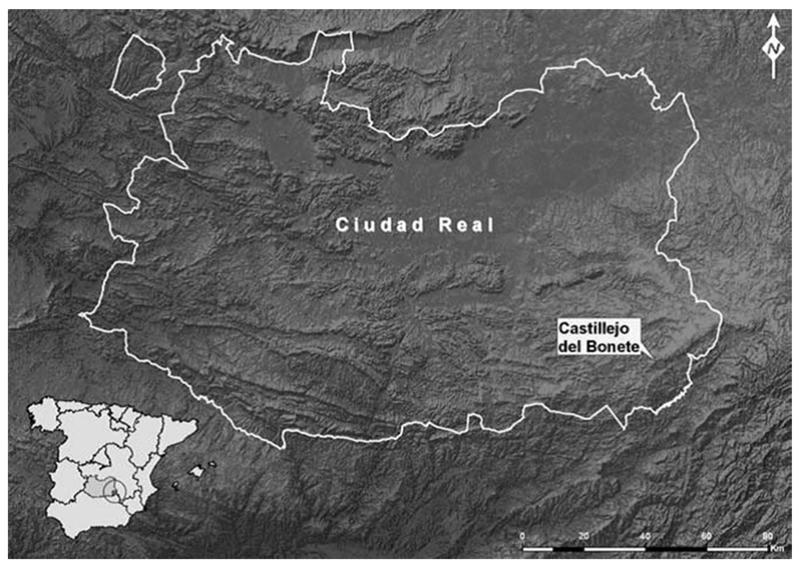 Animals 15 00680 g001