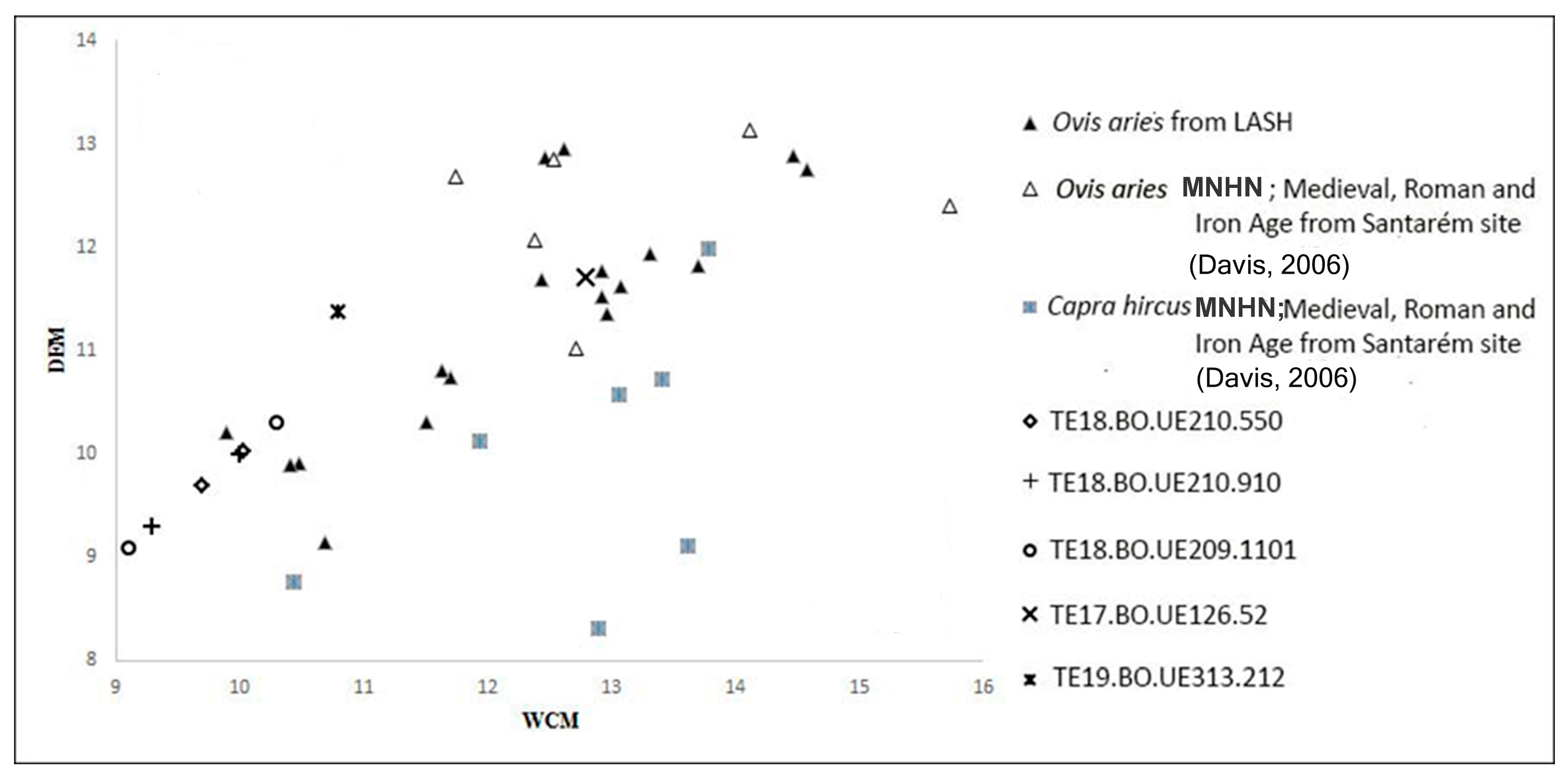 Animals 15 00680 g003