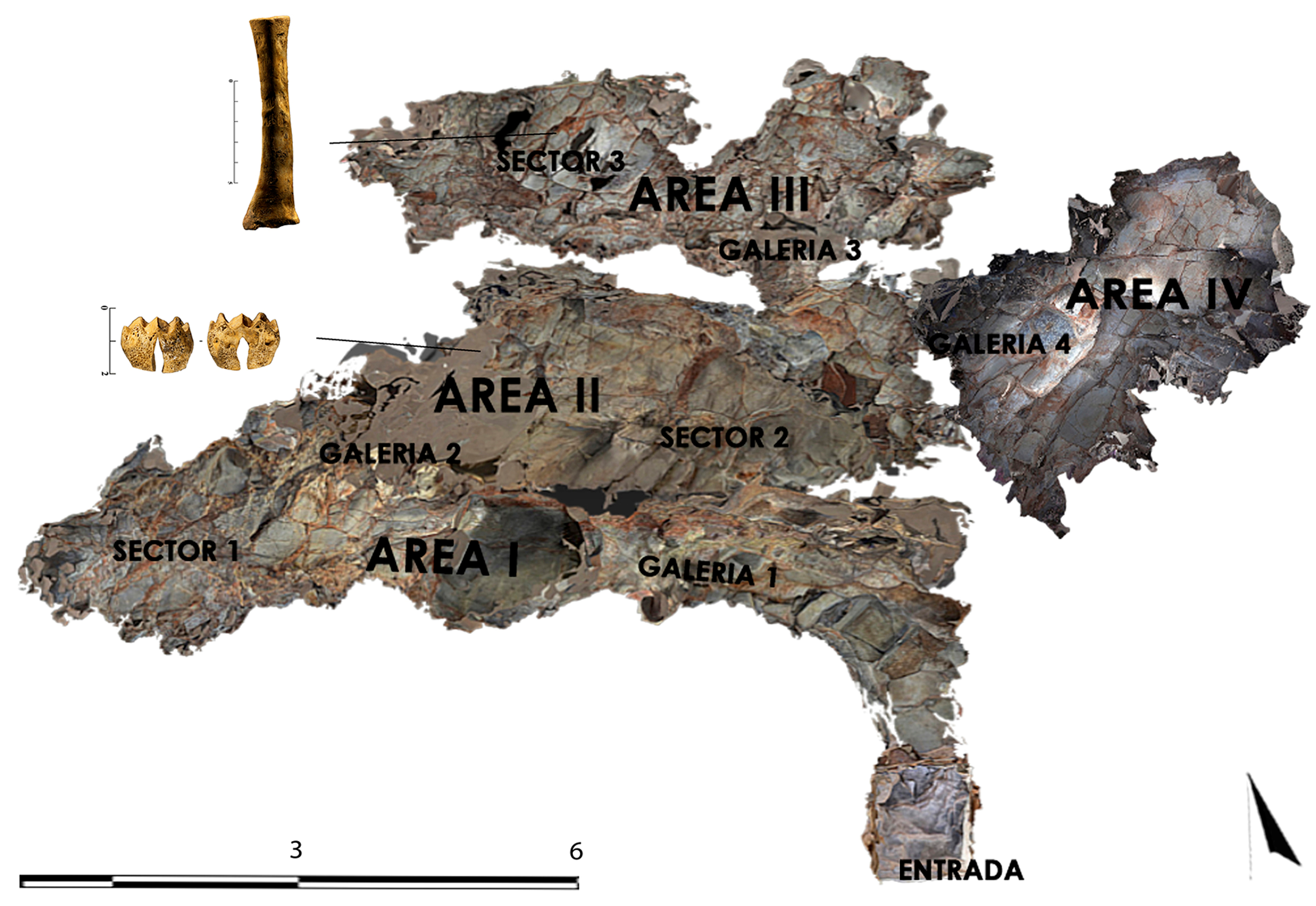 Animals 15 00680 g007