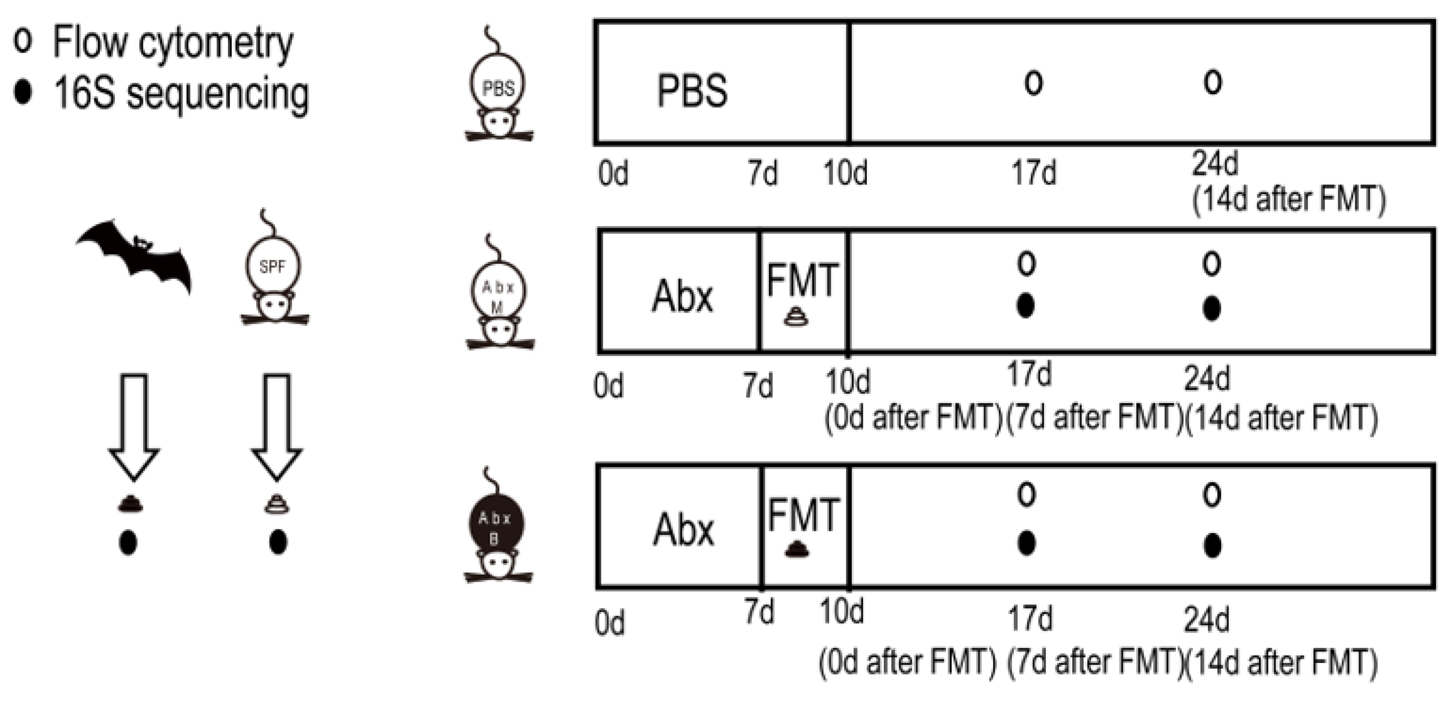 Animals 15 00685 g001