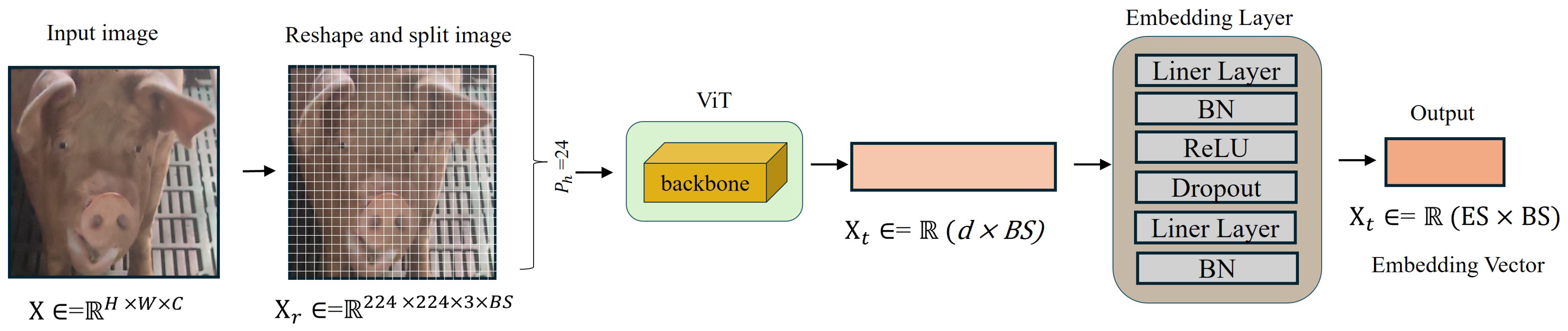 Animals 15 00691 g005 Animals 15 00691 g005