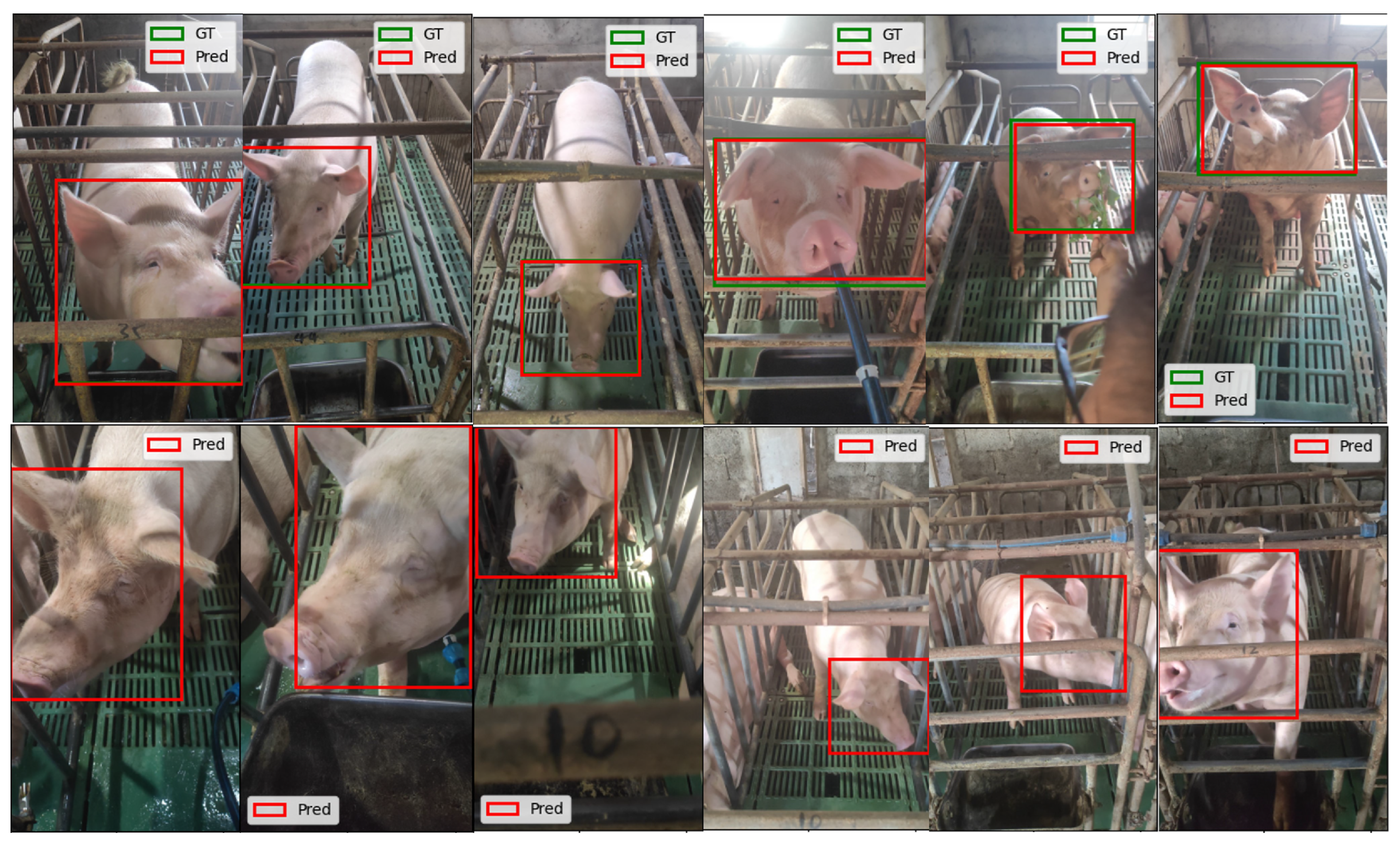 Animals 15 00691 g006 Animals 15 00691 g006