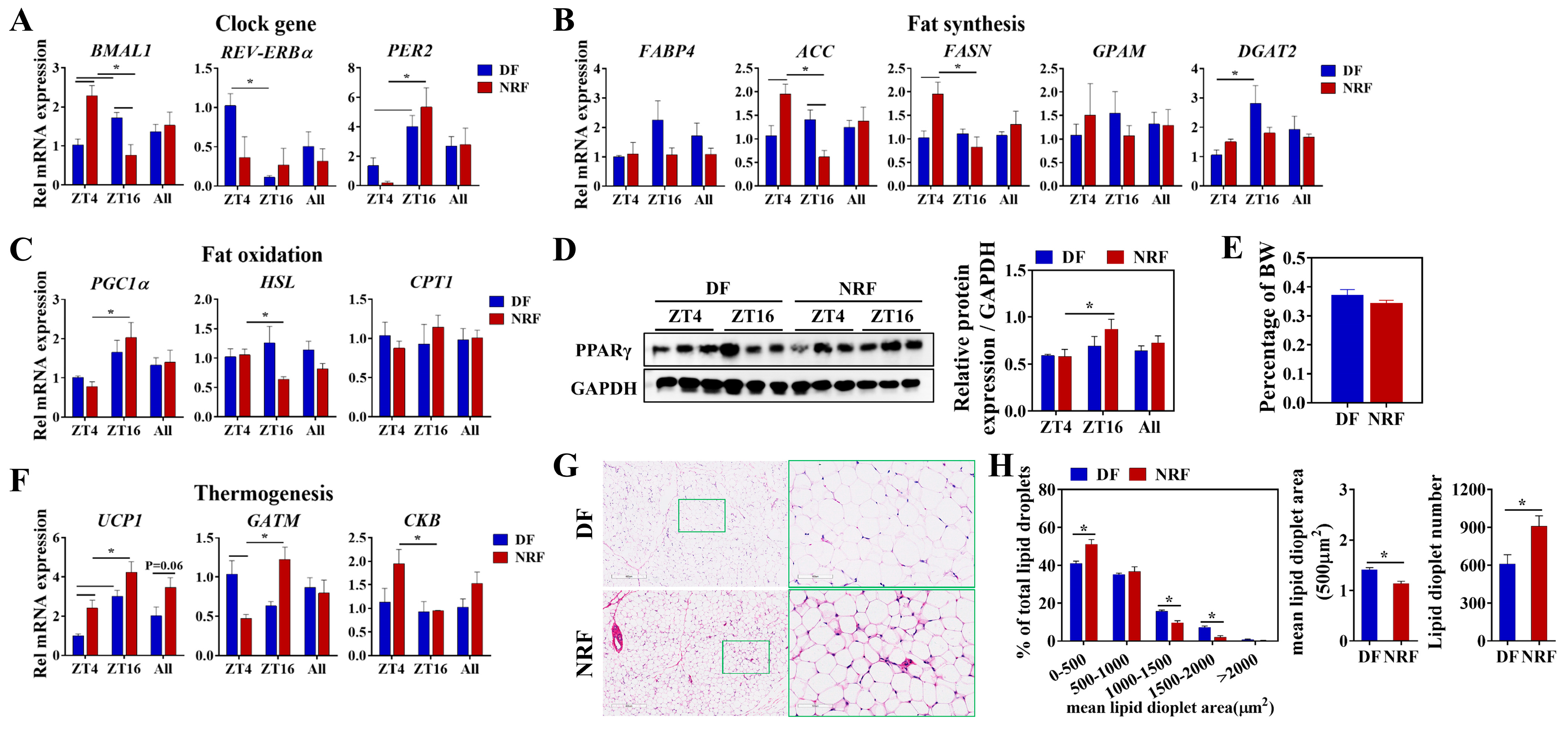 Animals 15 00692 g005 Animals 15 00692 g005