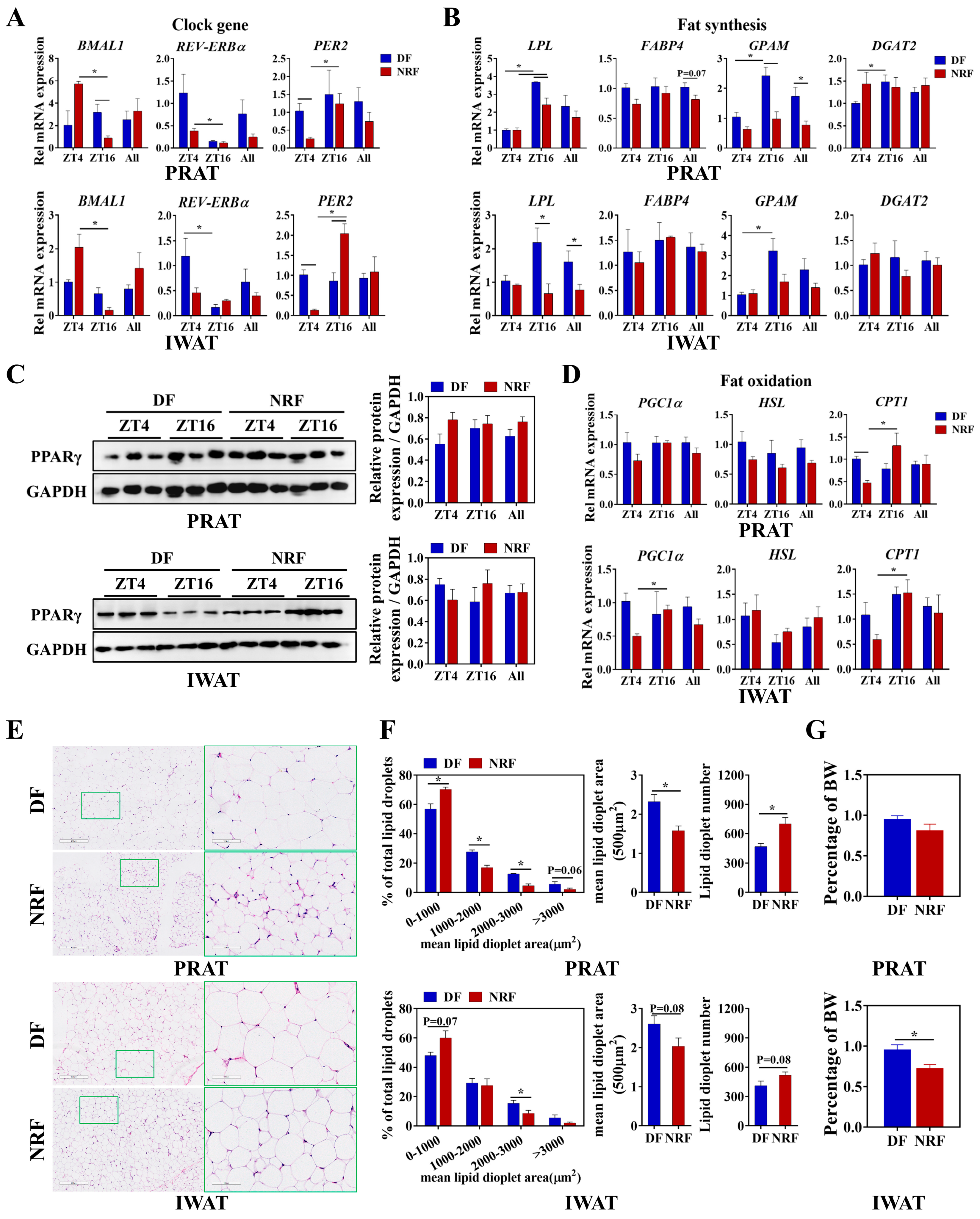Animals 15 00692 g006 Animals 15 00692 g006