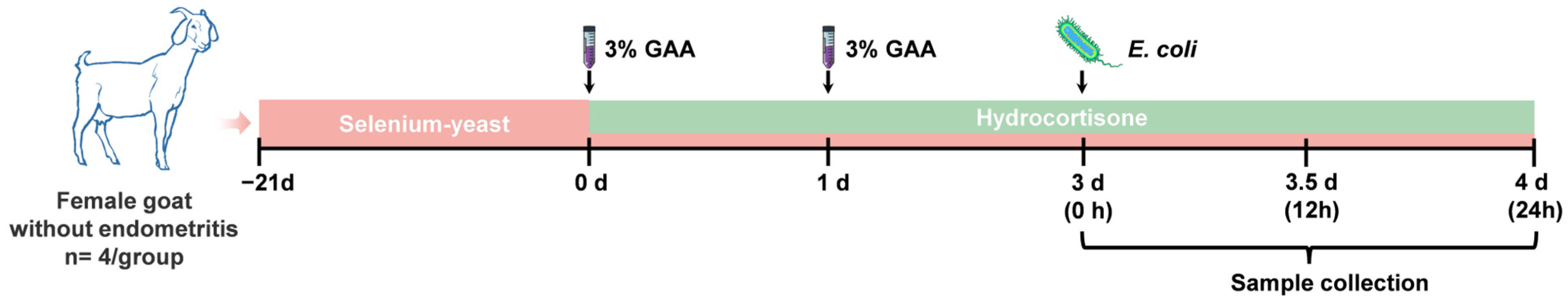 Animals 15 00693 g001 Animals 15 00693 g001
