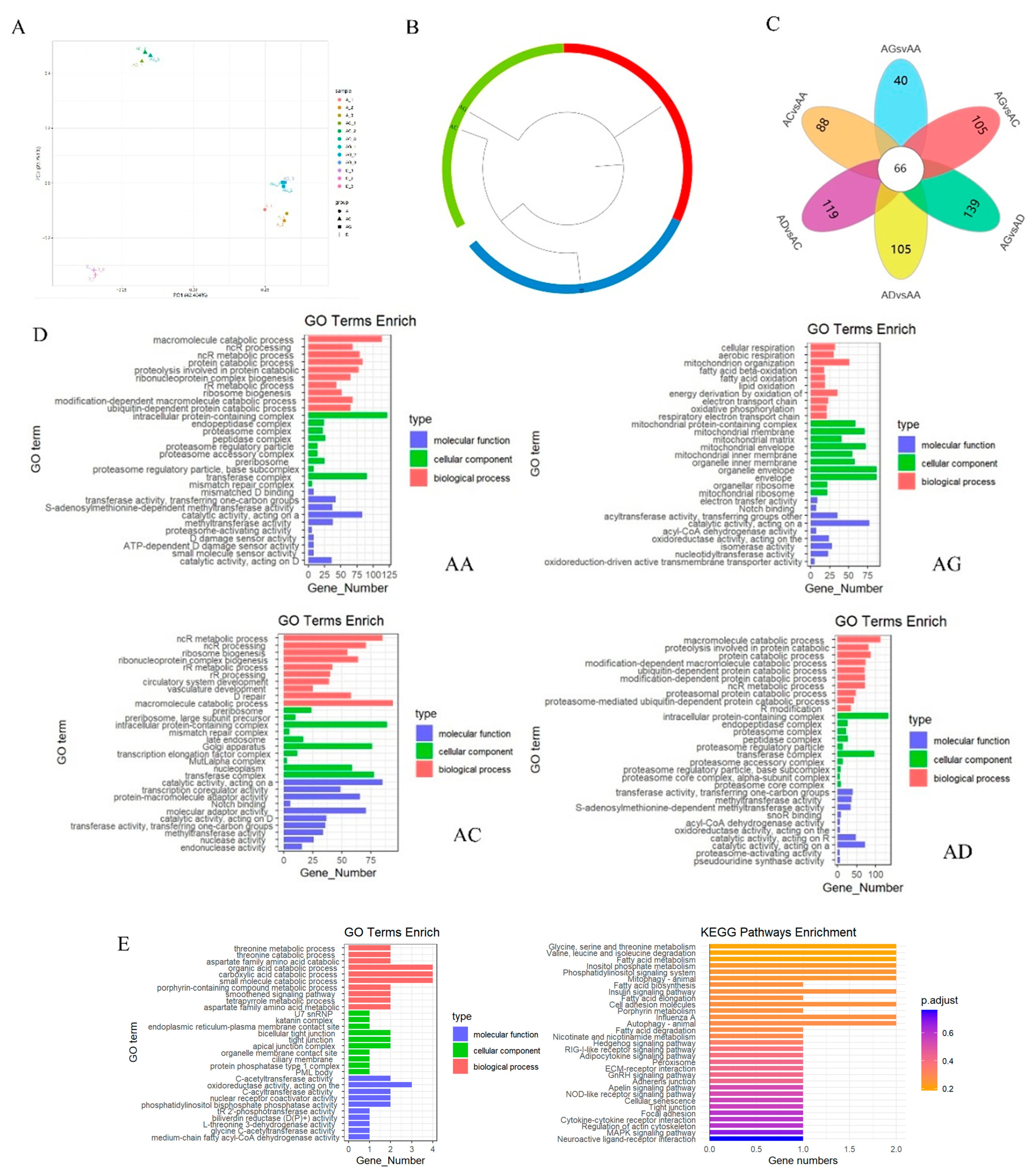 Animals 15 00694 g003