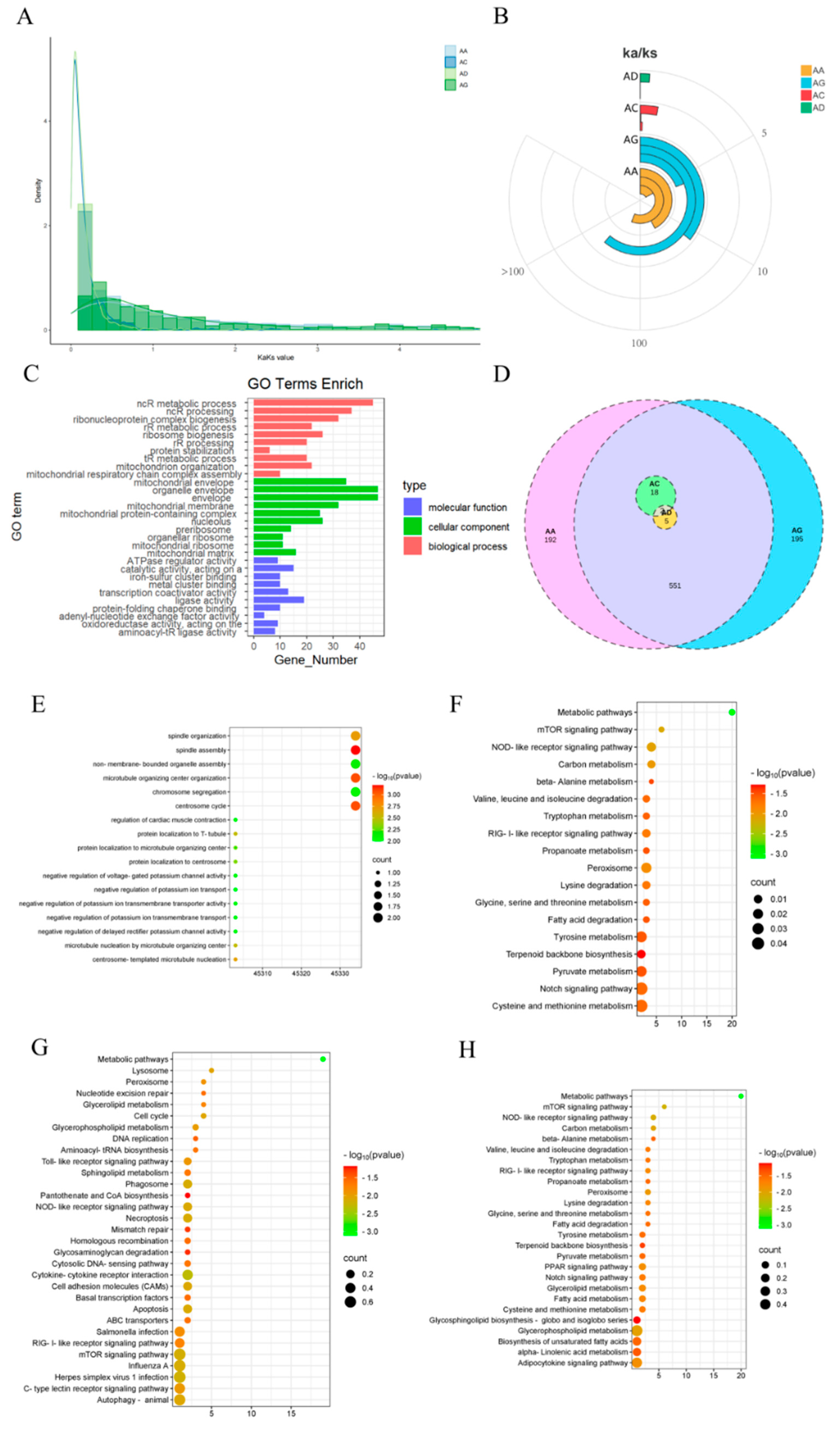 Animals 15 00694 g004