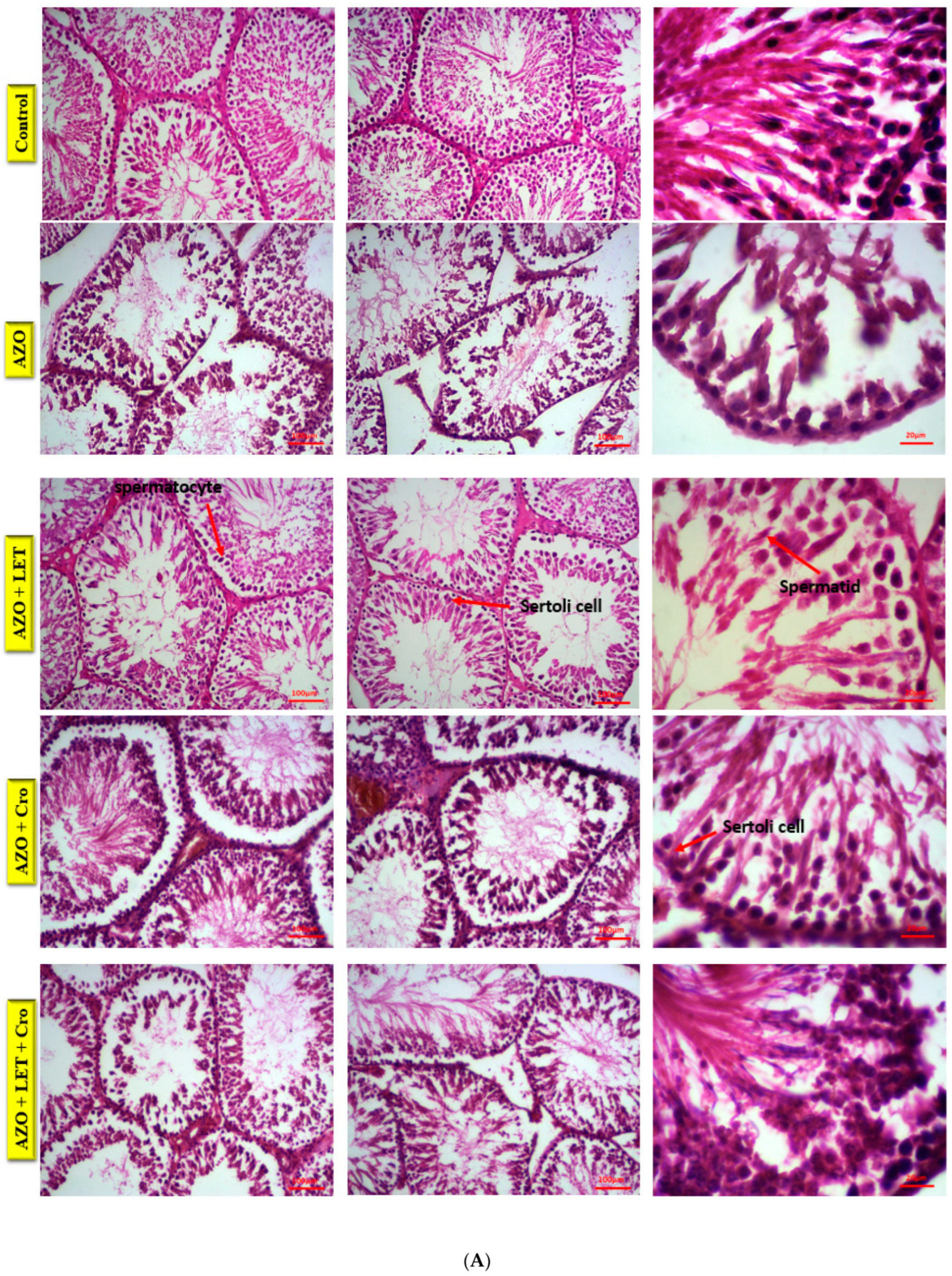 Animals 15 00697 g001a