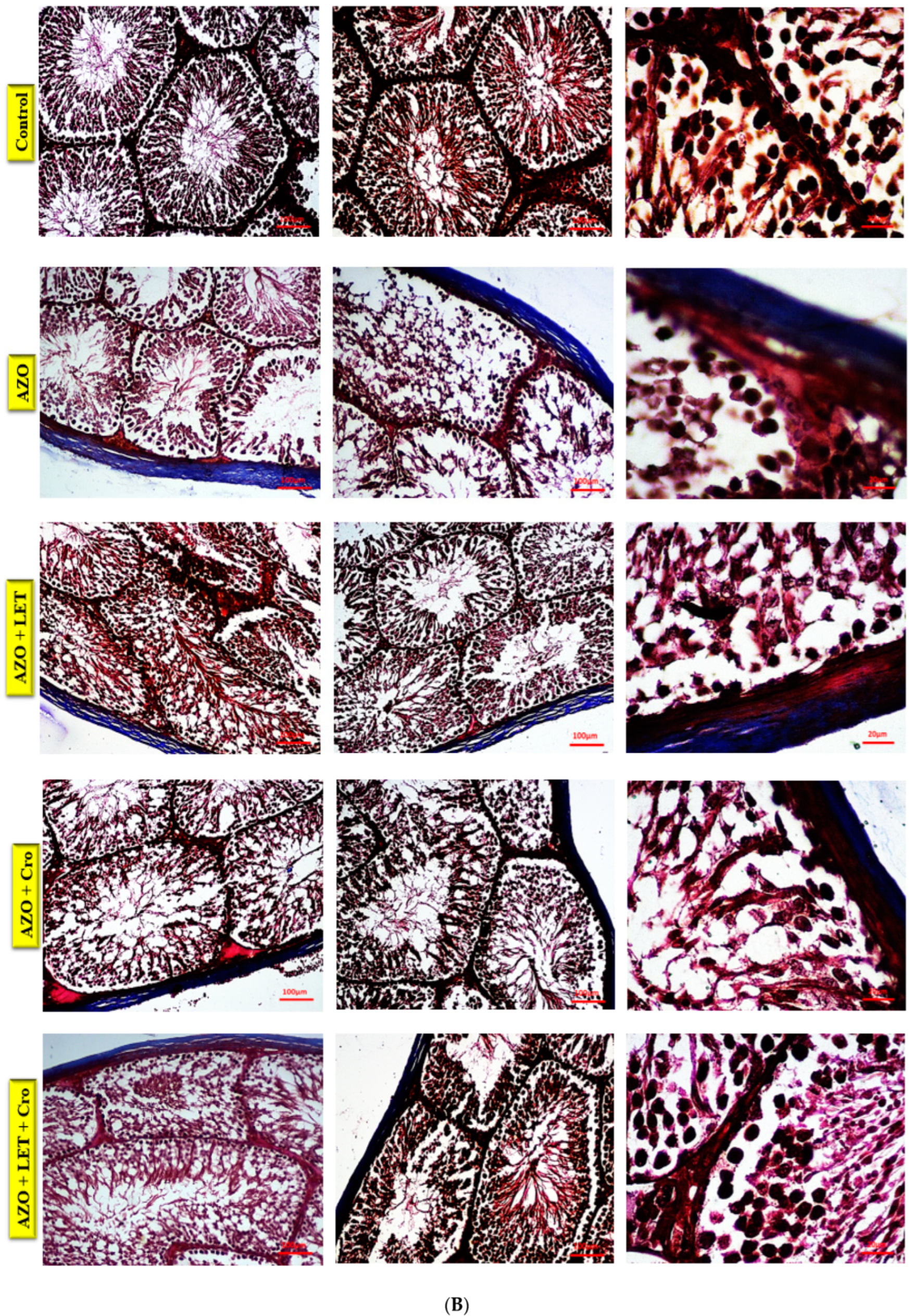 Animals 15 00697 g001b