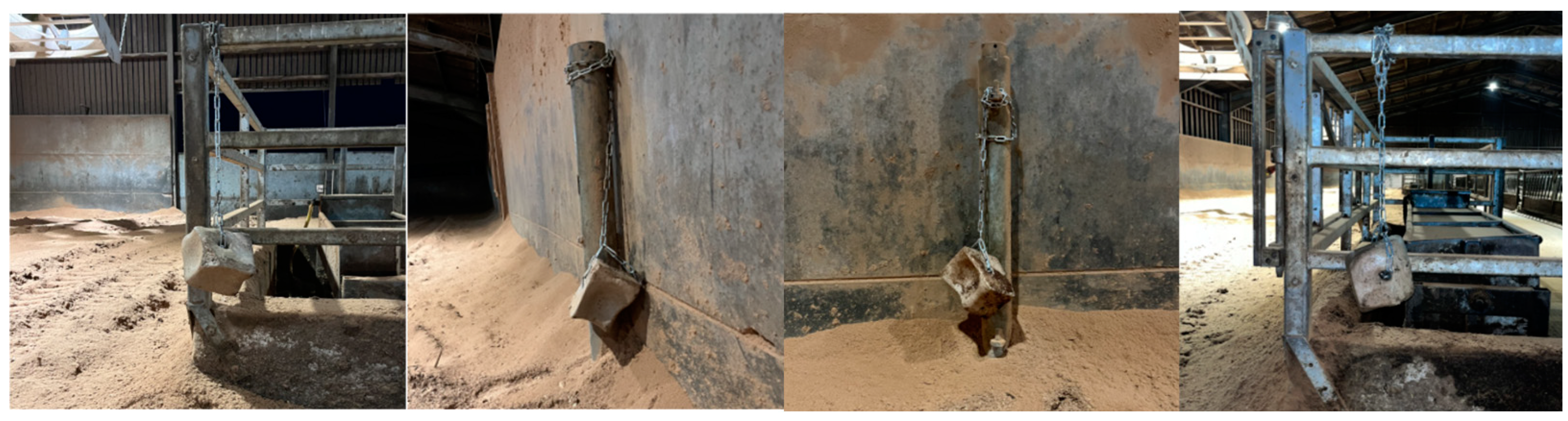 Animals 15 00701 g003