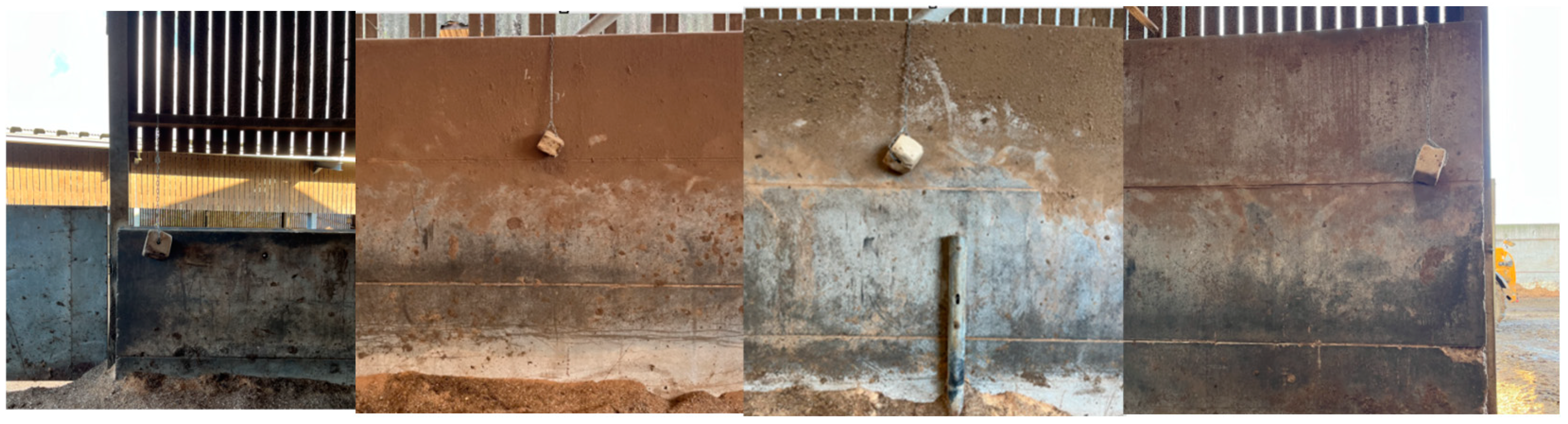 Animals 15 00701 g004