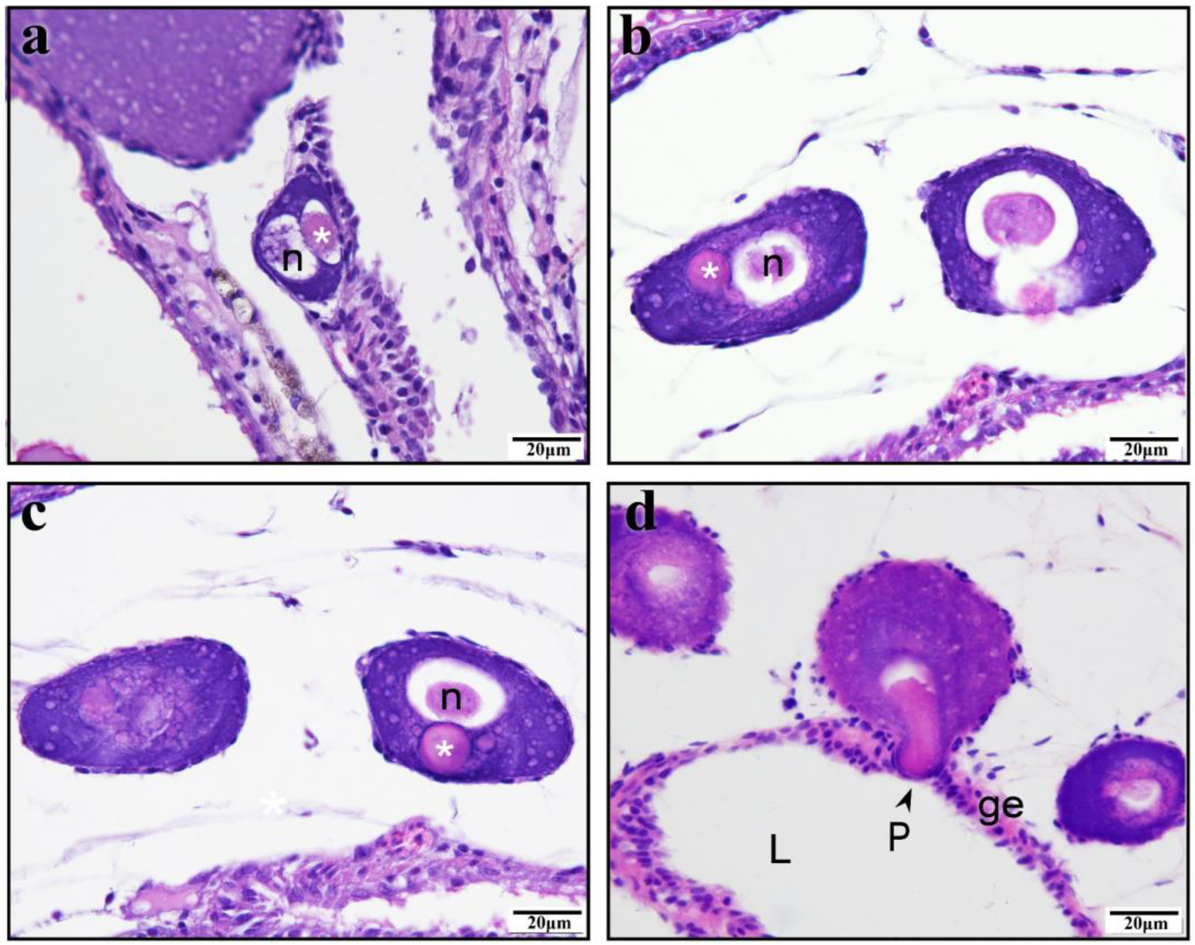 Animals 15 00707 g002 Animals 15 00707 g002