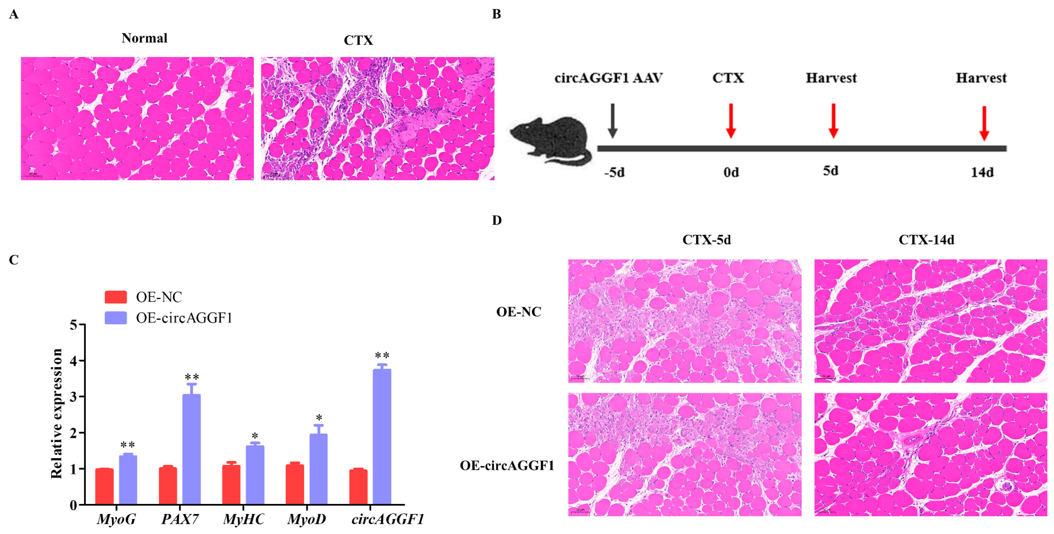 Animals 15 00708 g003