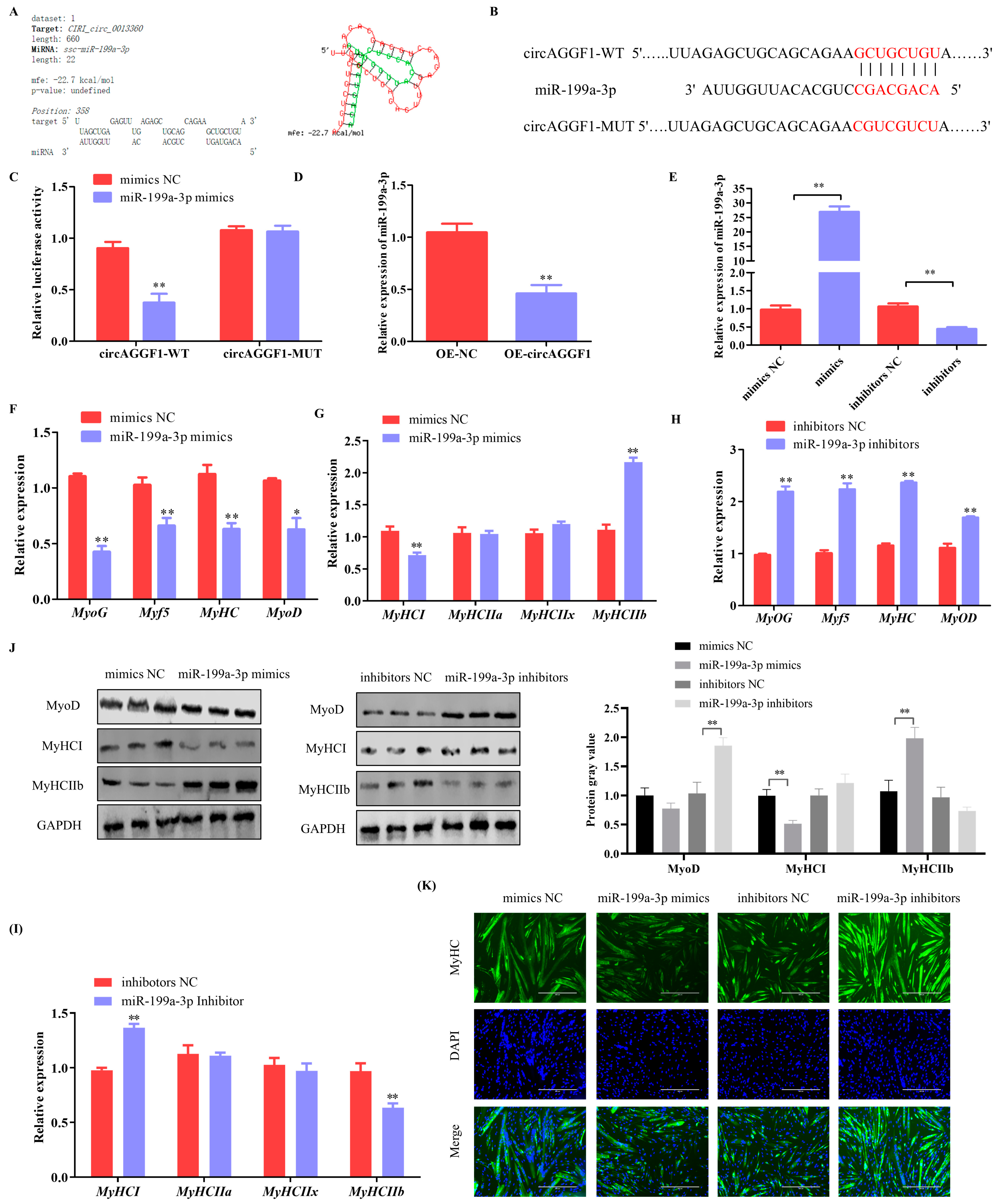 Animals 15 00708 g004