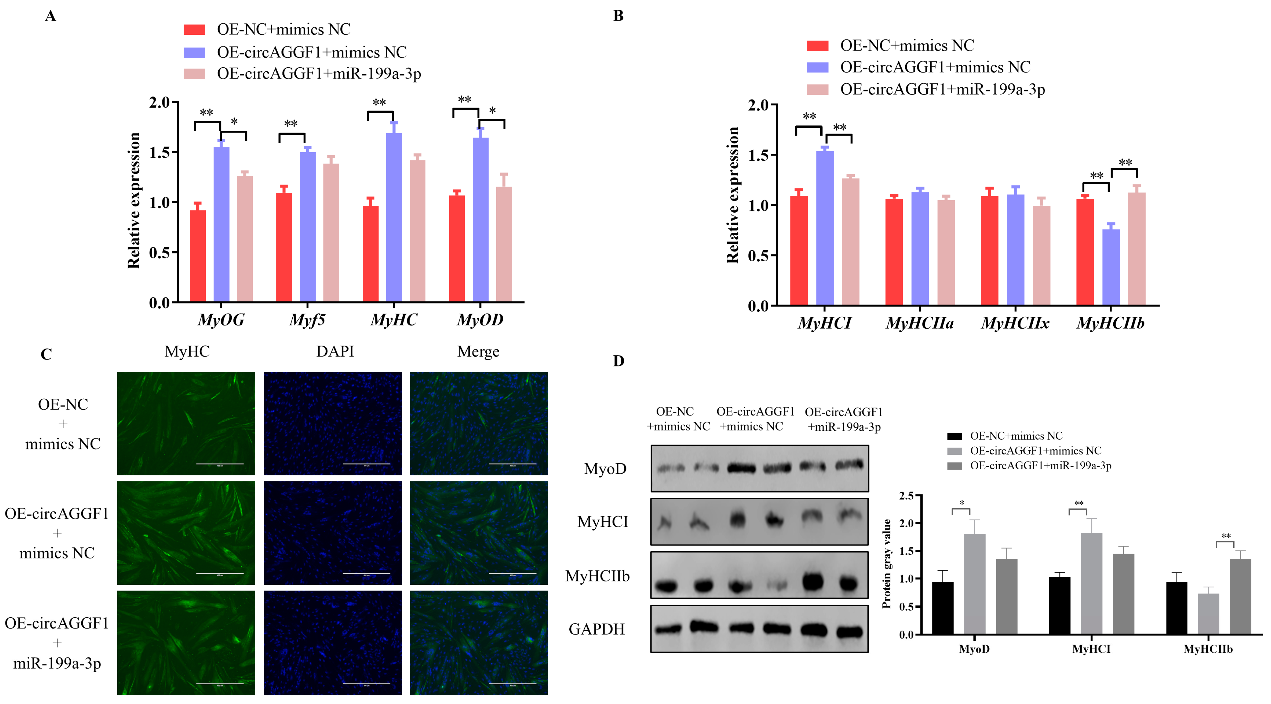 Animals 15 00708 g006