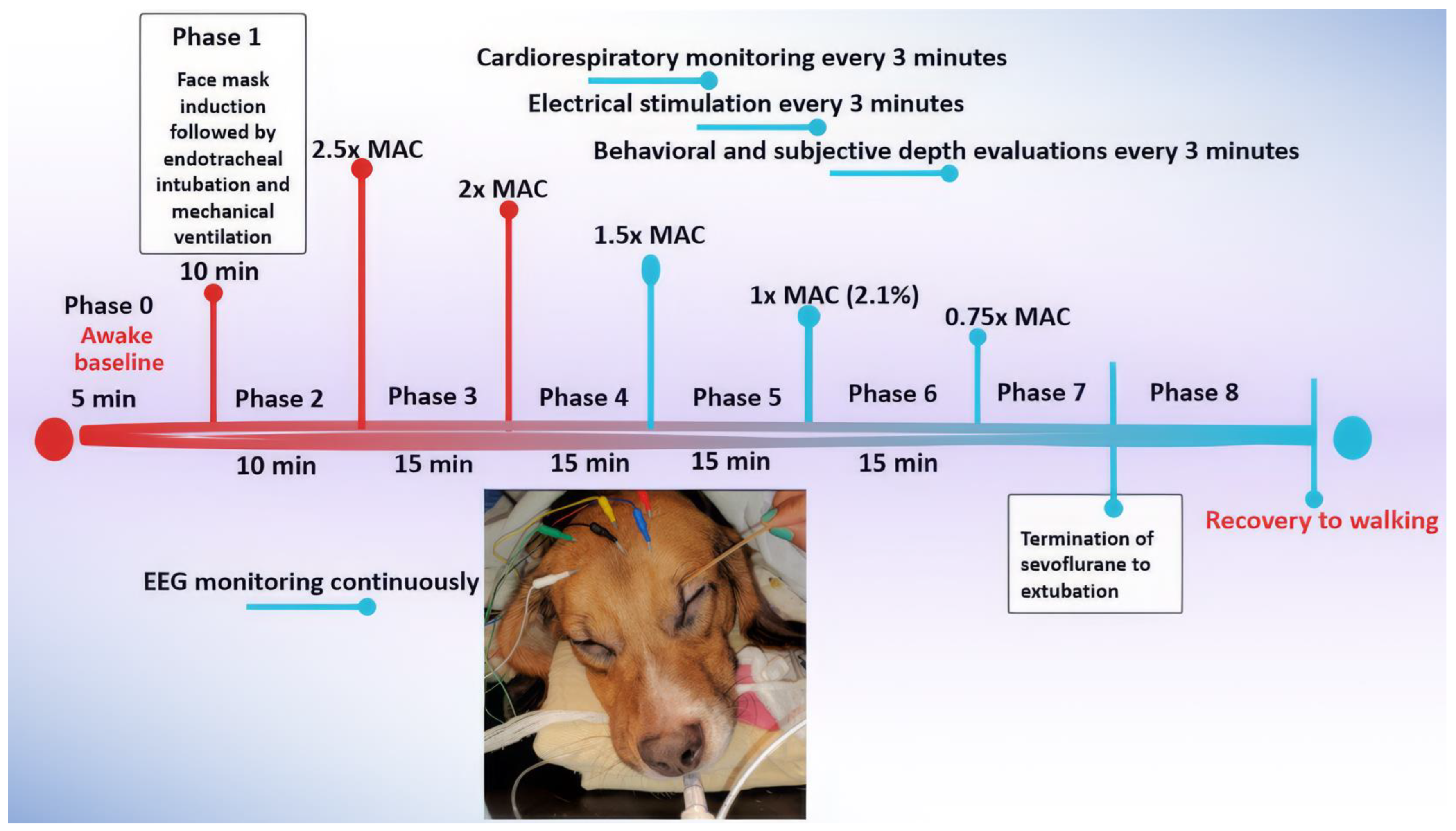 Animals 15 00715 g001