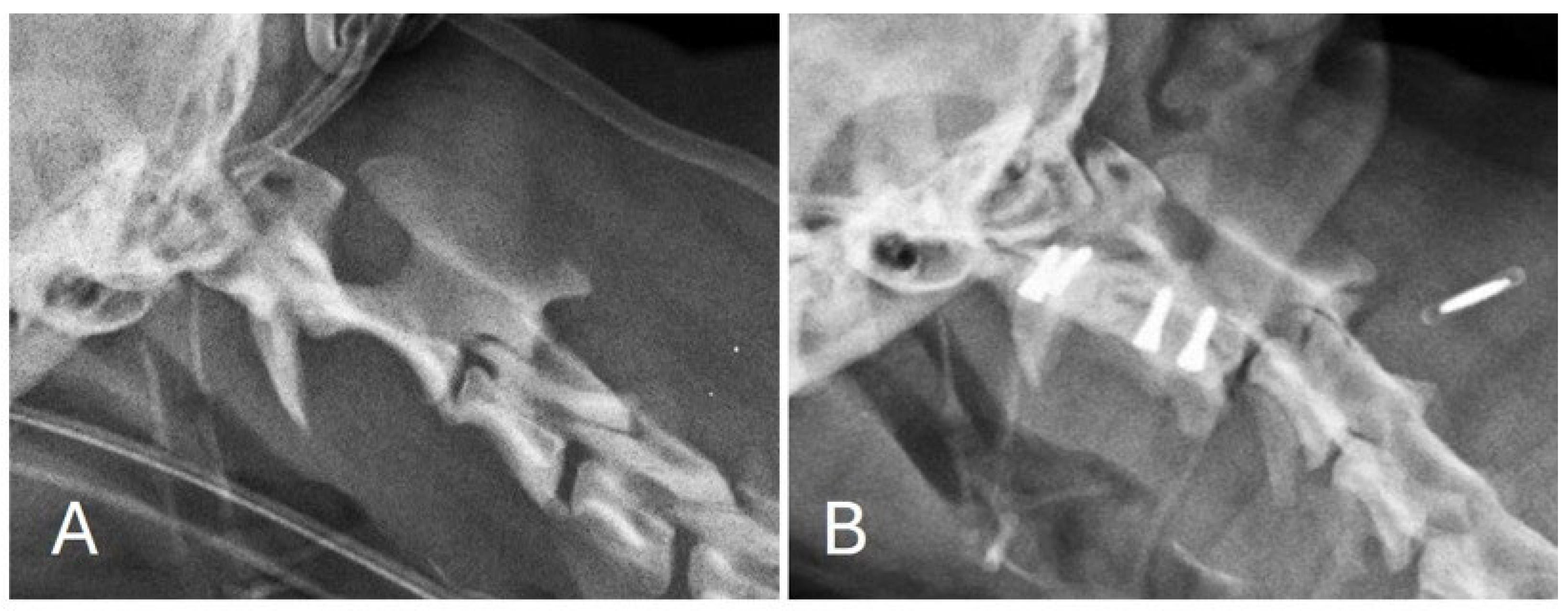 Animals 15 00716 g003