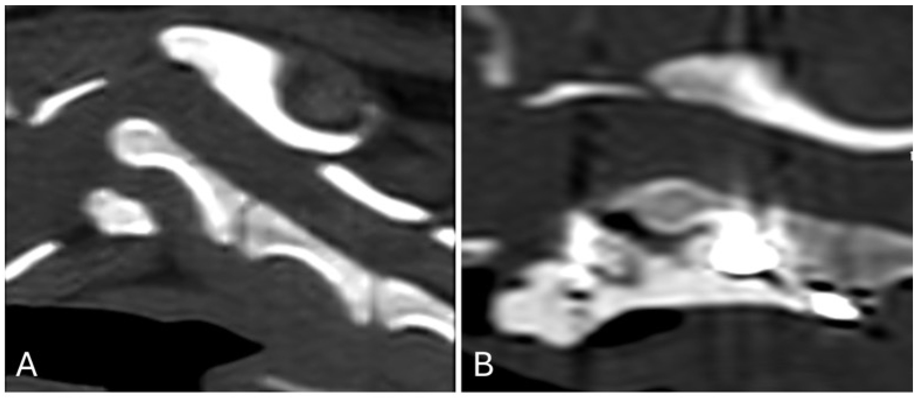 Animals 15 00716 g004