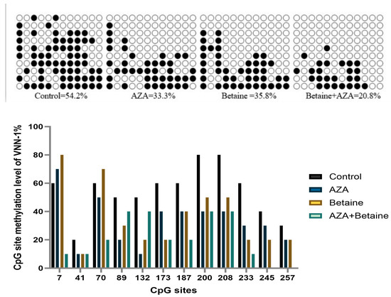 Role of Vanin-1 Gene Methylation in Fat Synthesis in Goose