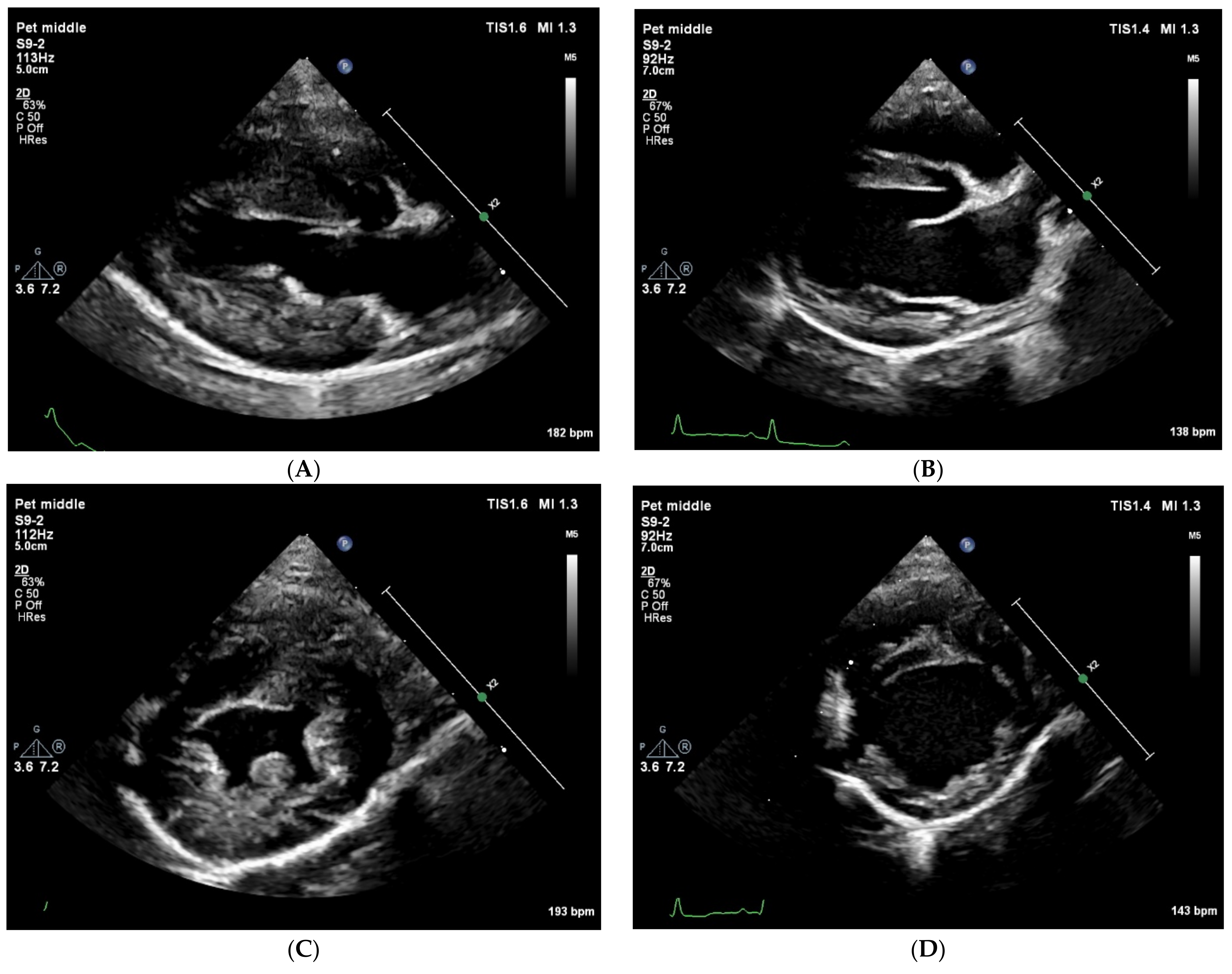 Animals 15 00722 g001