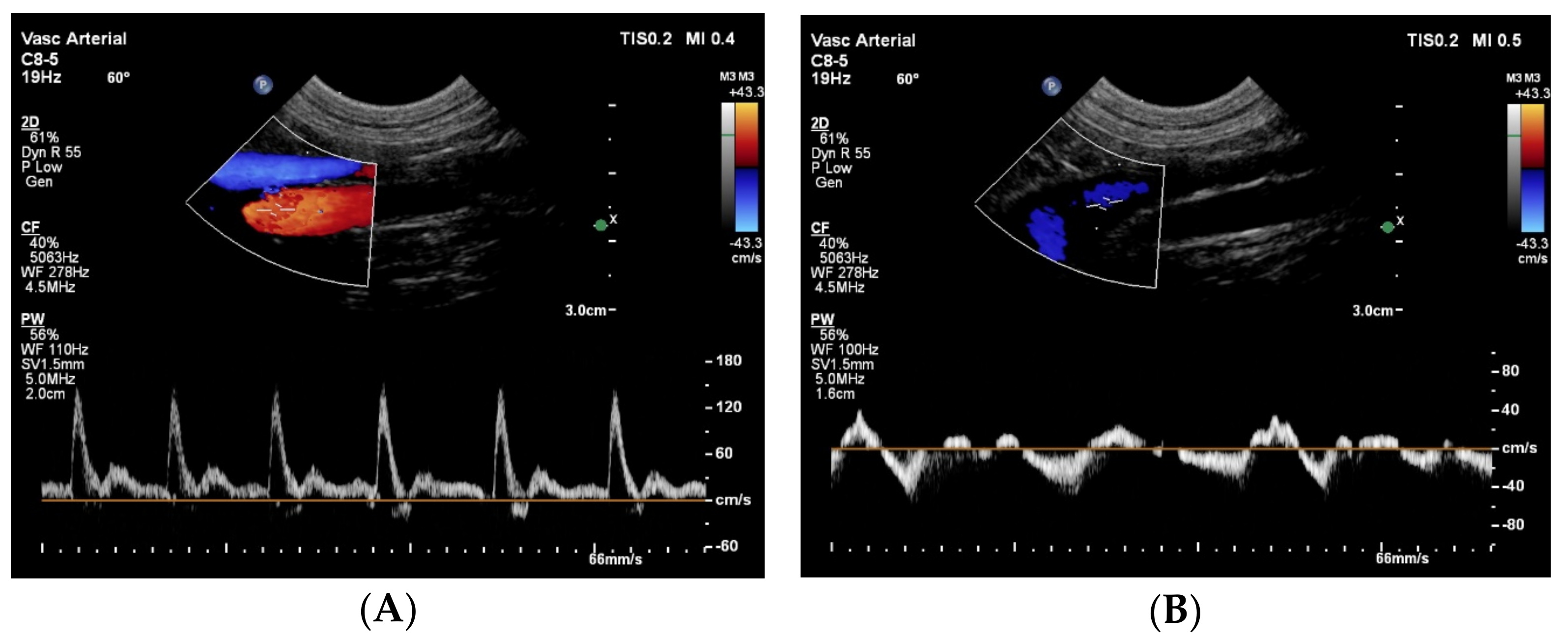 Animals 15 00722 g002