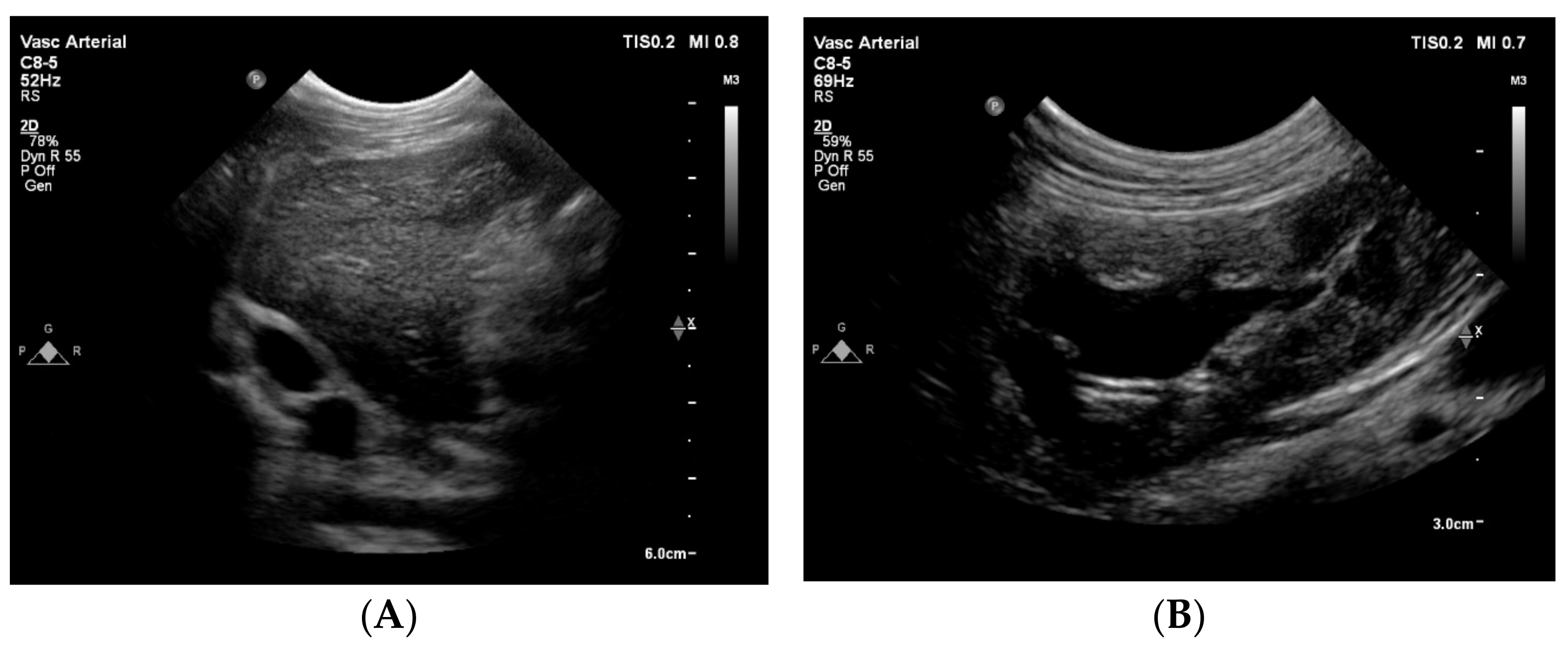 Animals 15 00722 g004