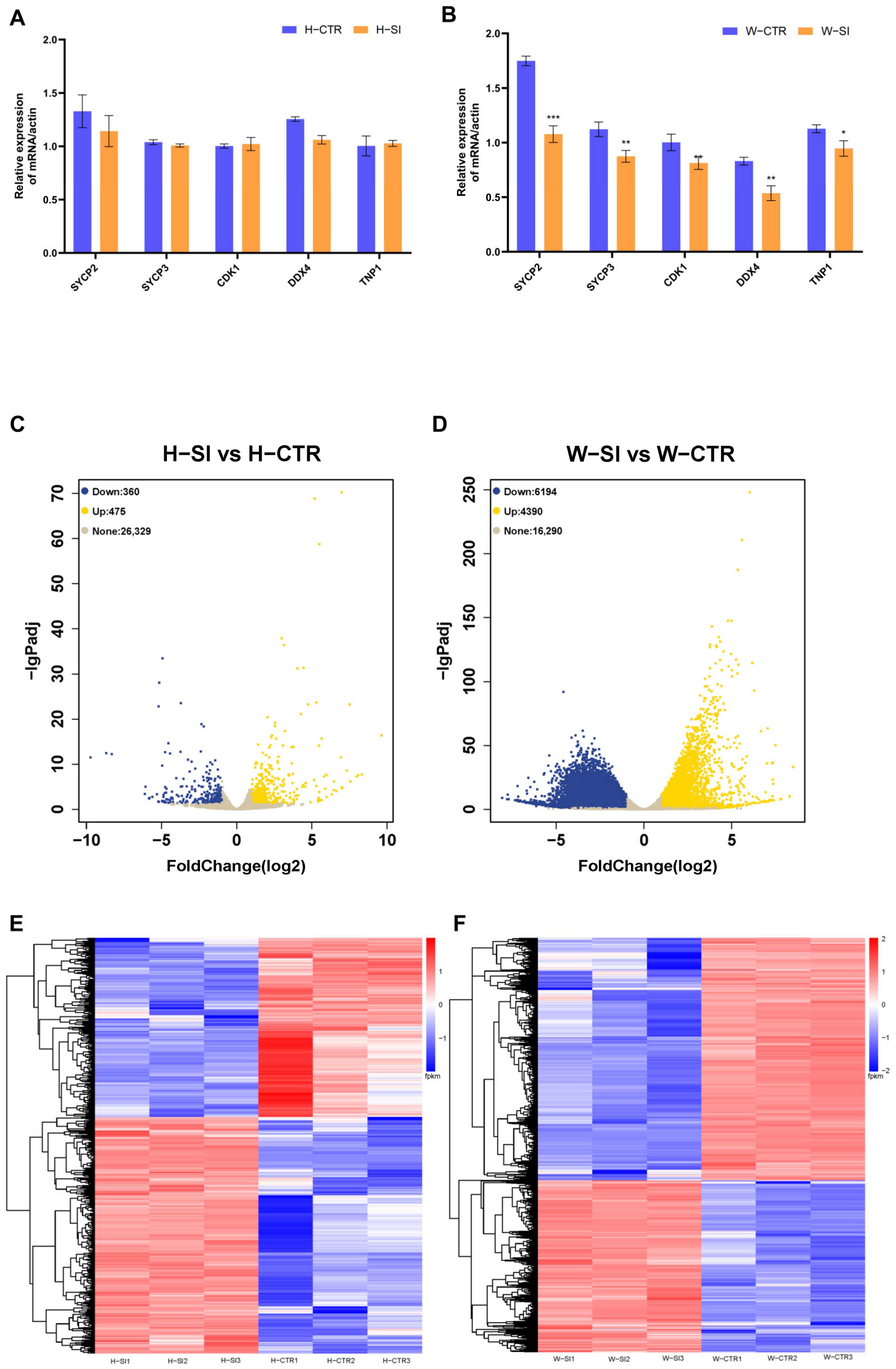 Animals 15 00724 g005