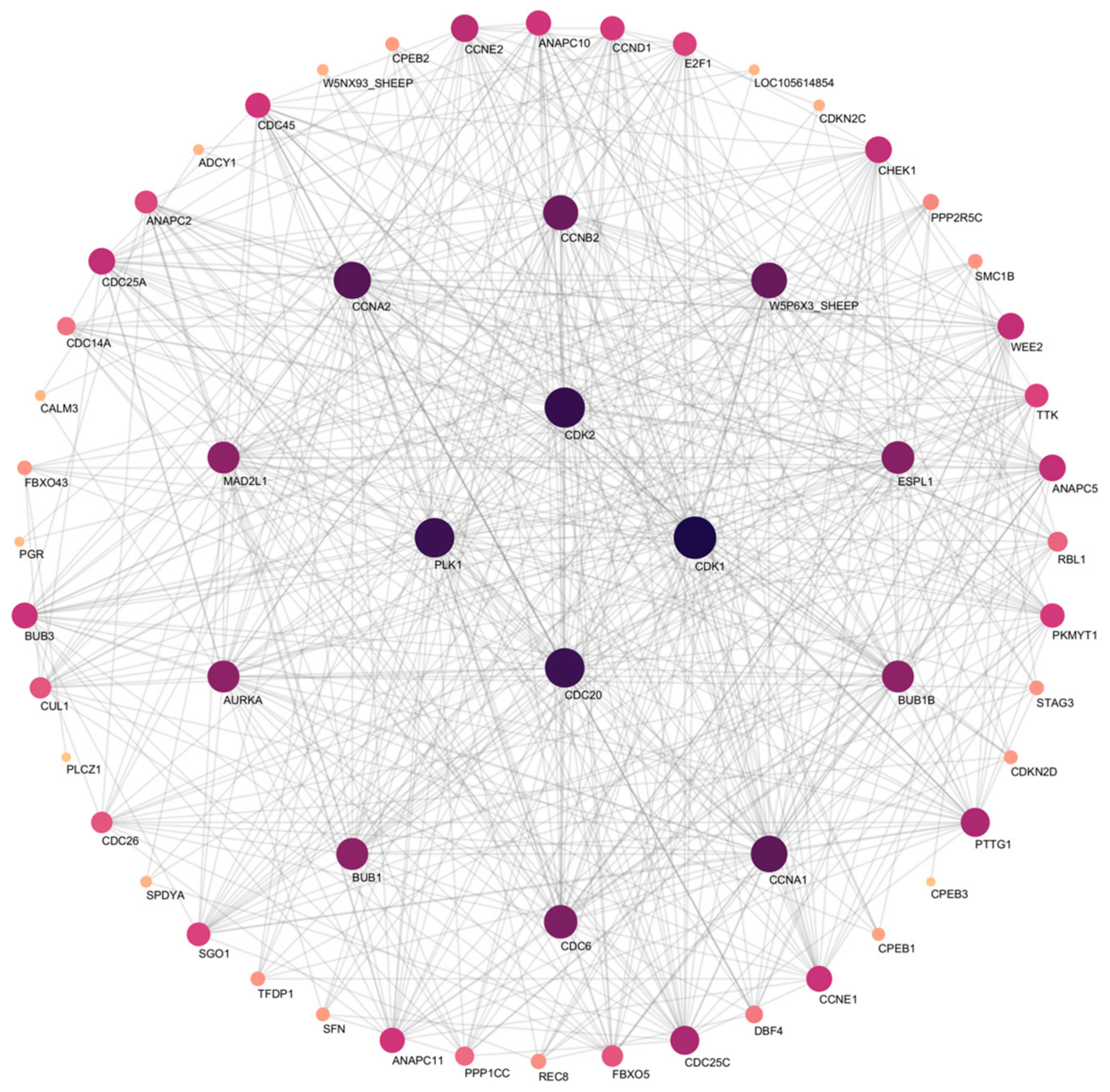 Animals 15 00724 g007