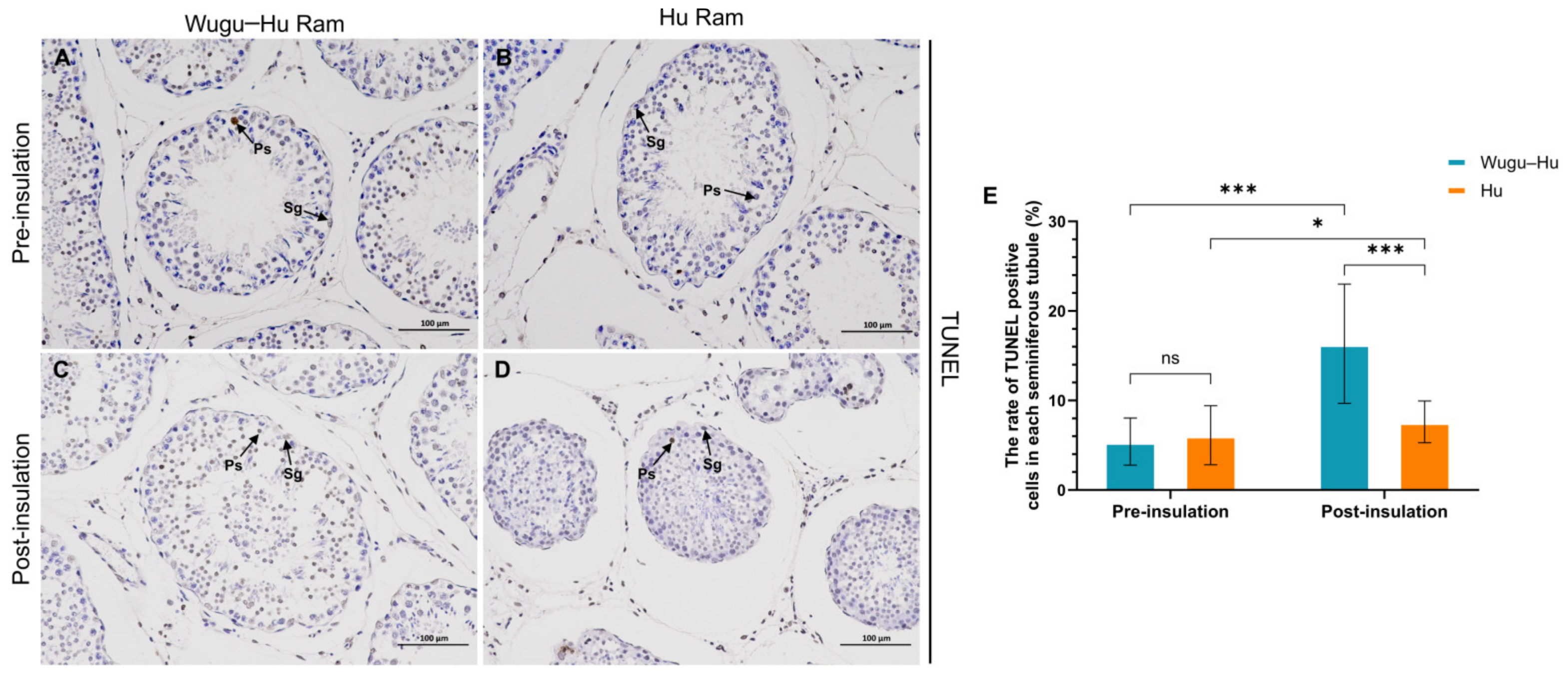 Animals 15 00724 g008