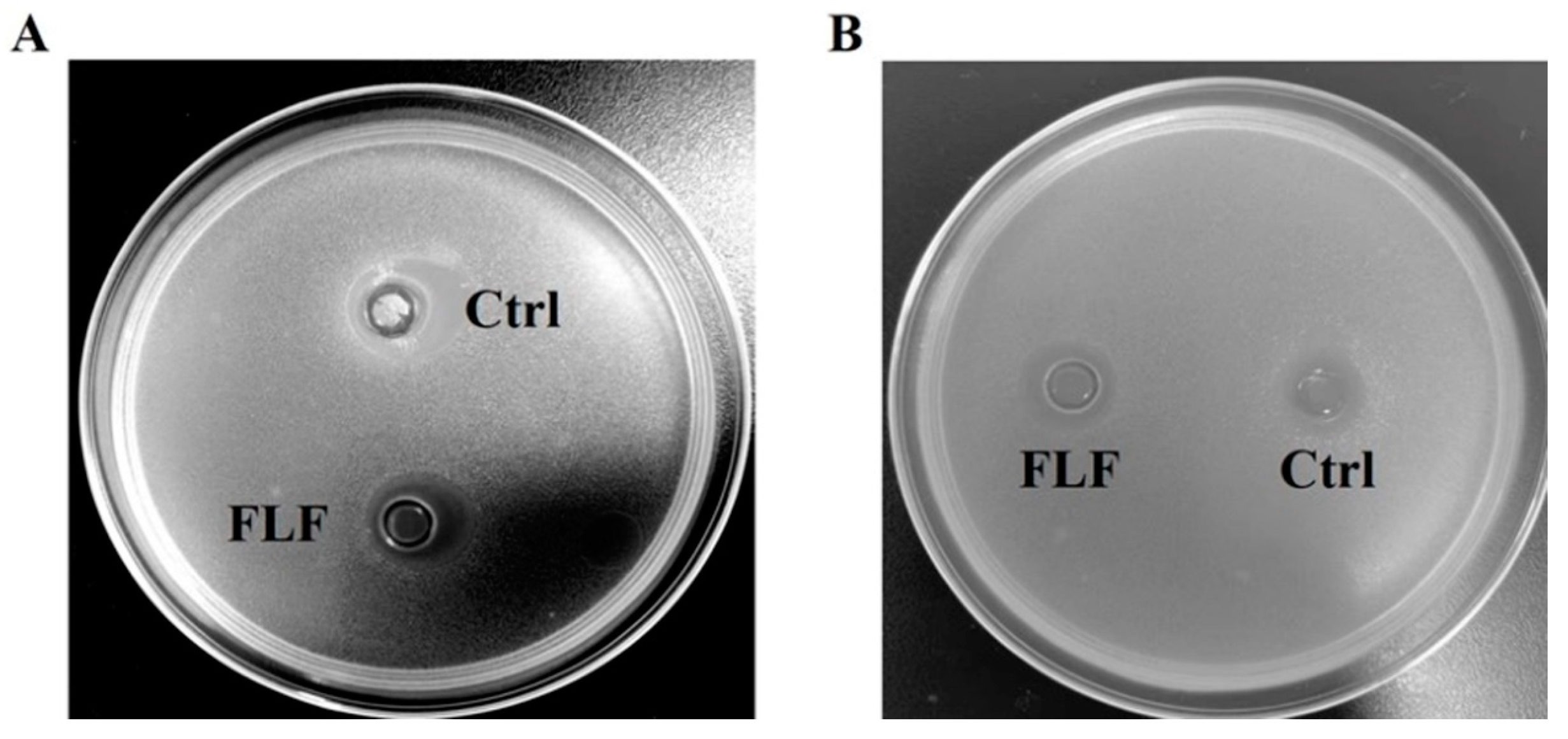 Animals 15 00733 g001