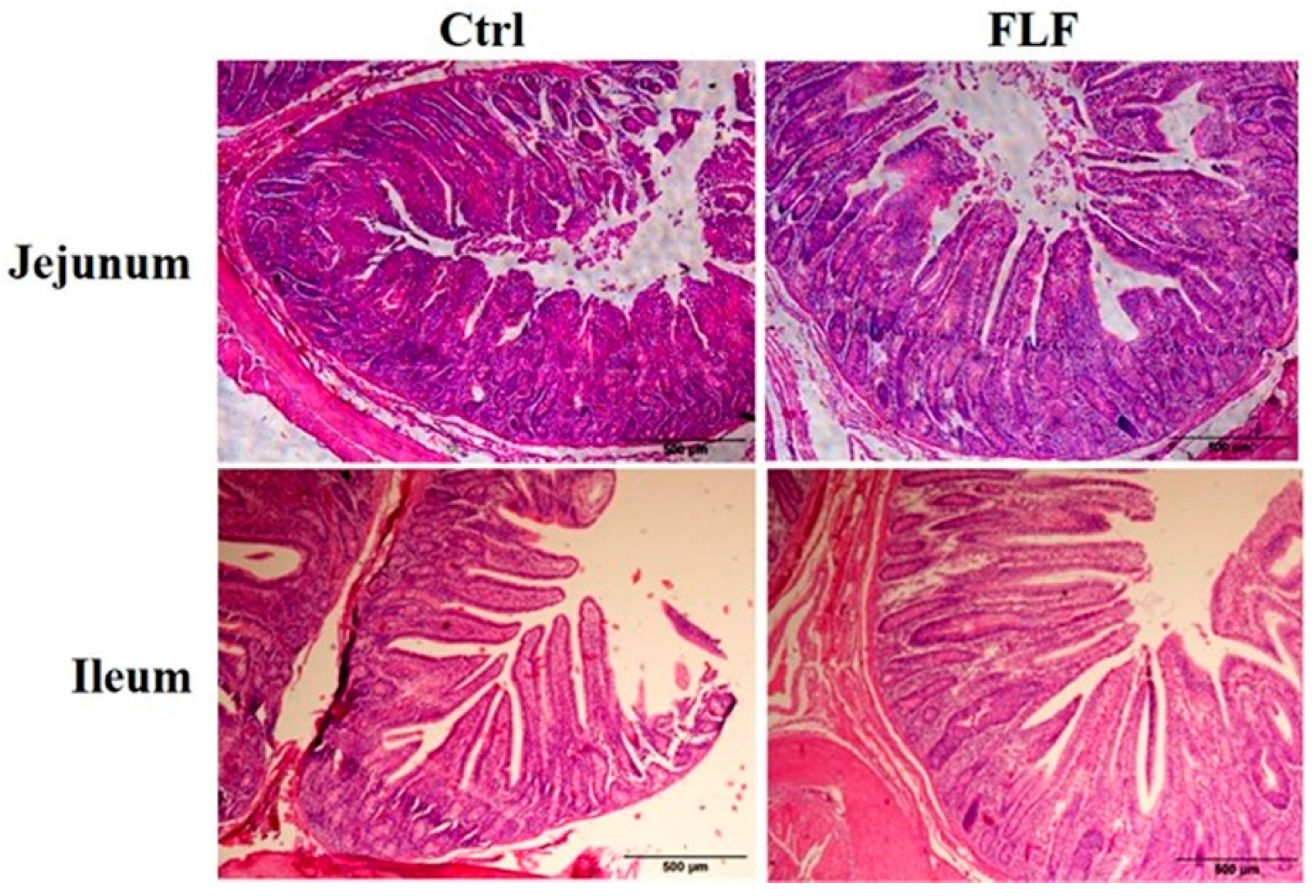 Animals 15 00733 g002