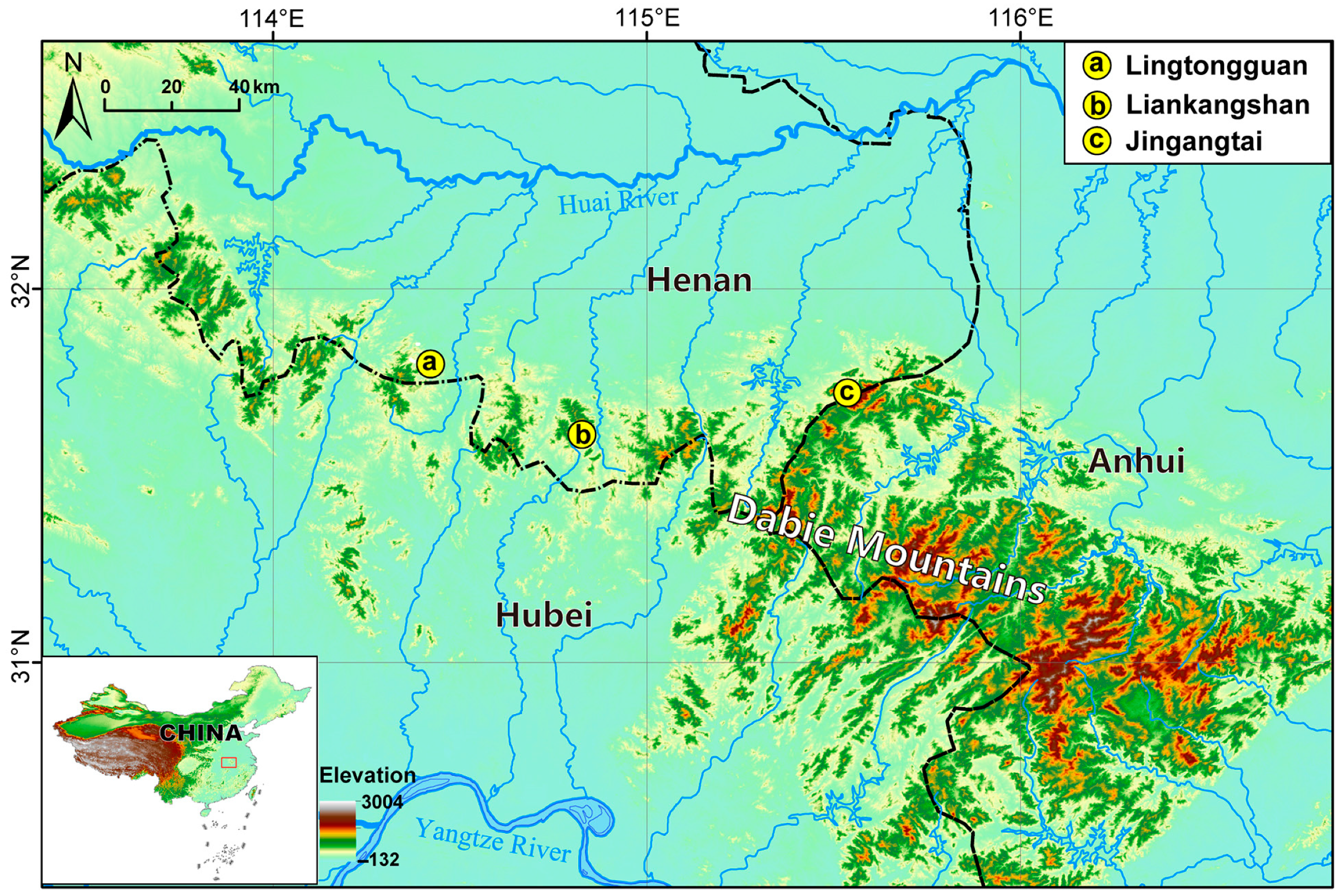 Animals 15 00734 g001