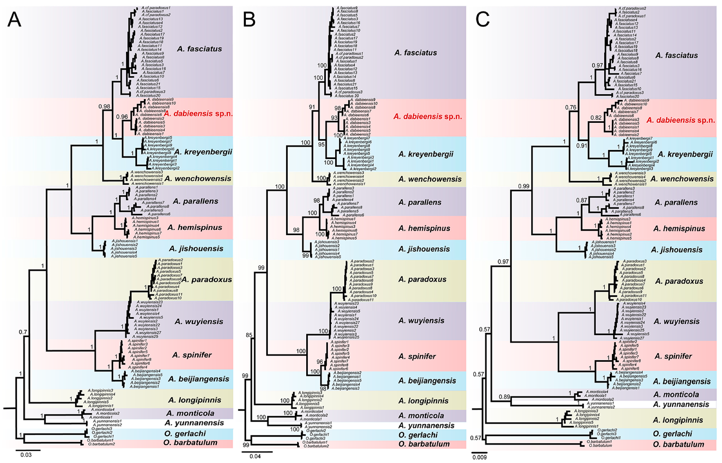 Animals 15 00734 g006