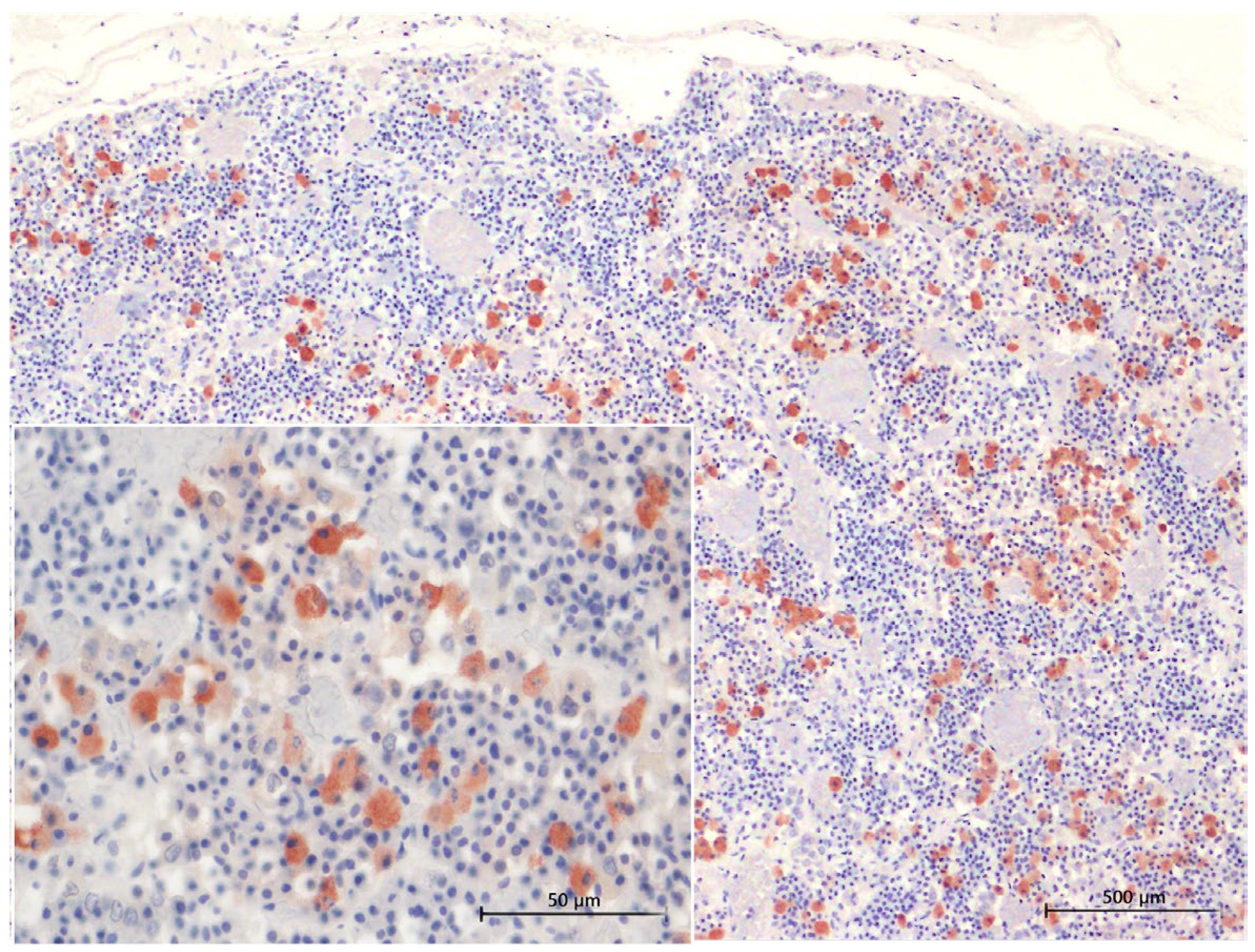 Animals 15 00735 g005