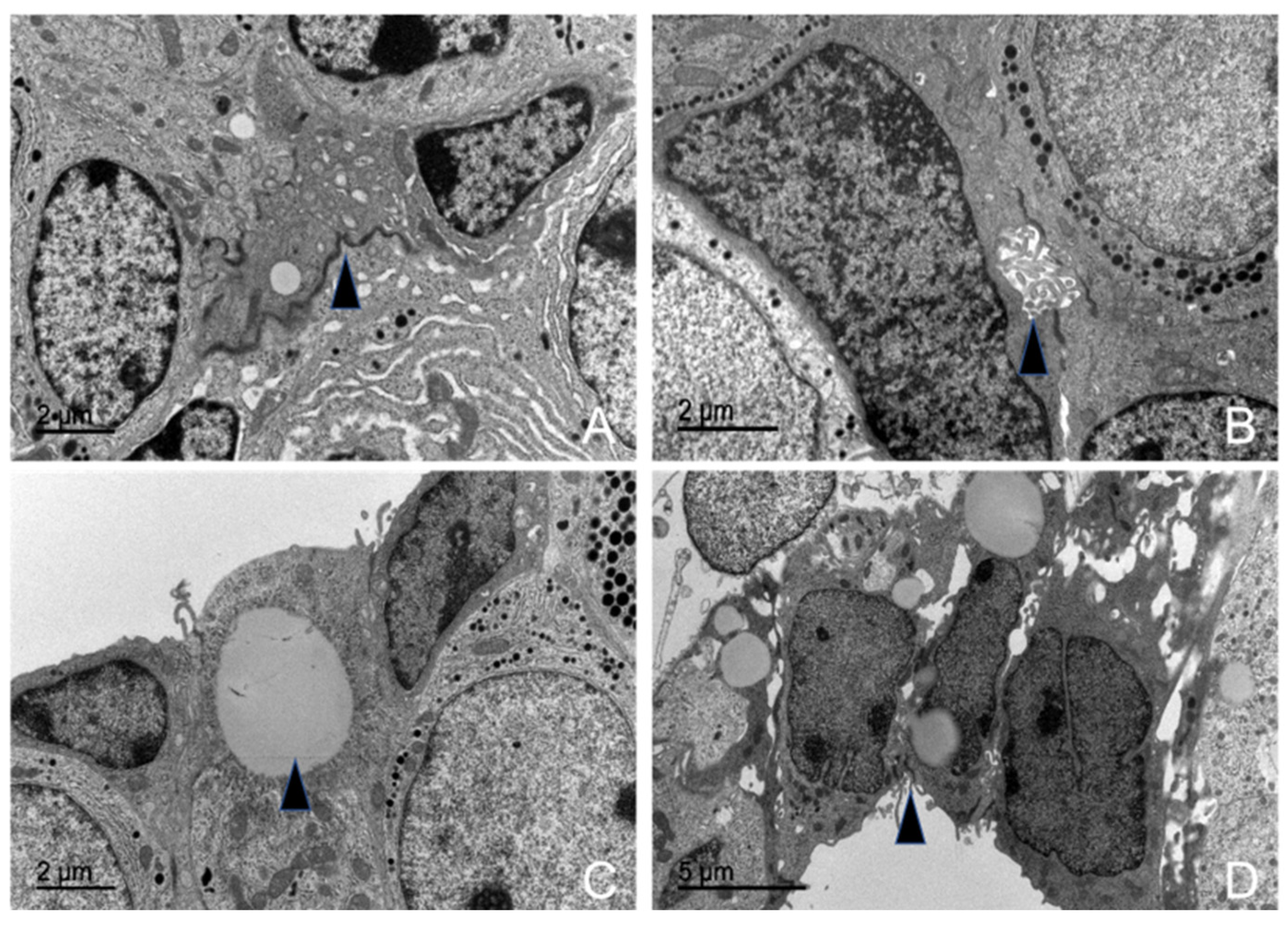 Animals 15 00735 g016