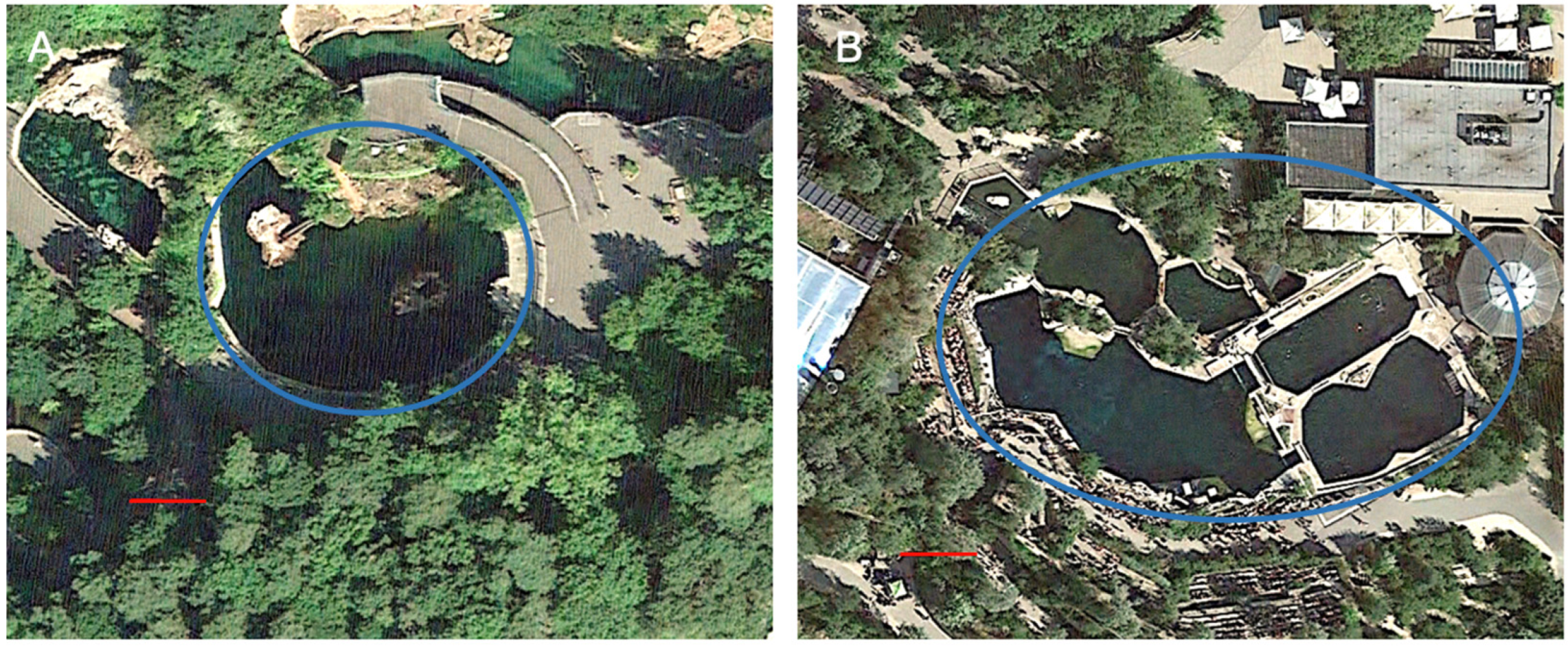 Animals 15 00739 g002