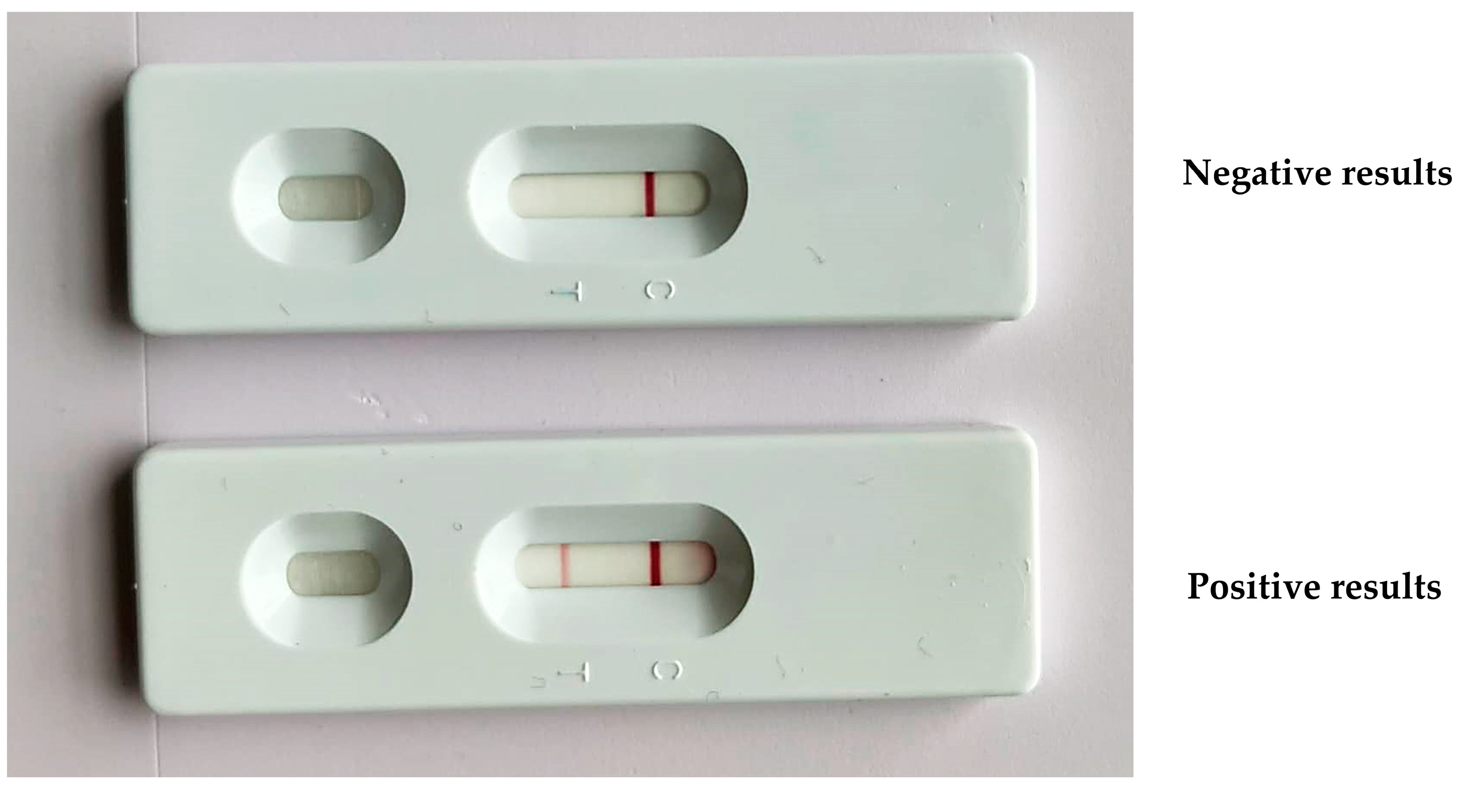 Animals 15 00740 g002