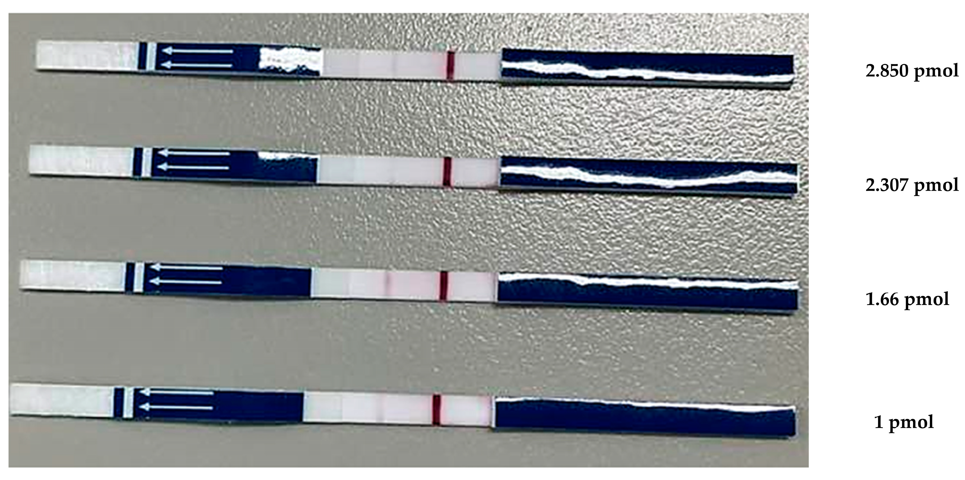 Animals 15 00740 g003