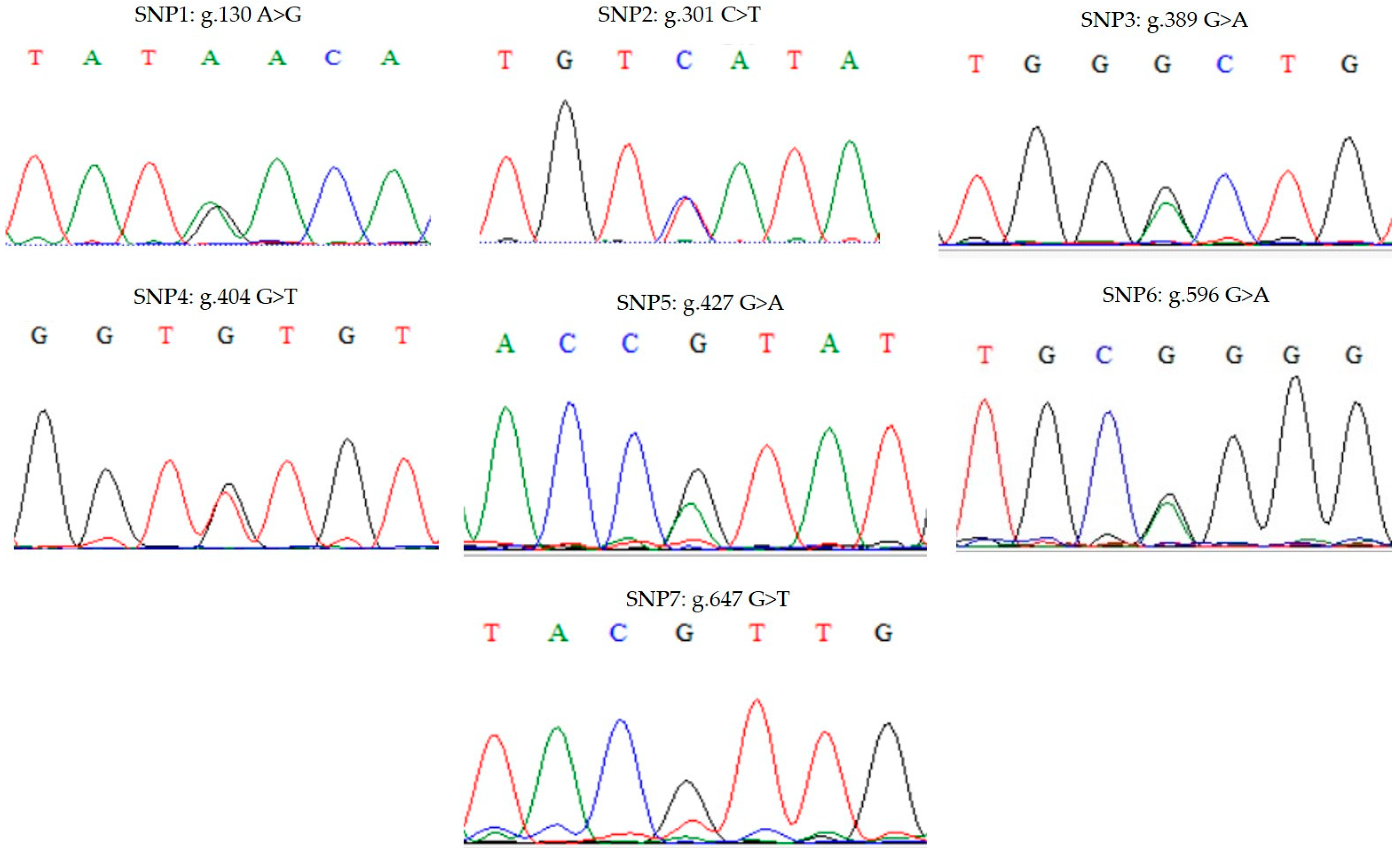 Animals 15 00744 g002