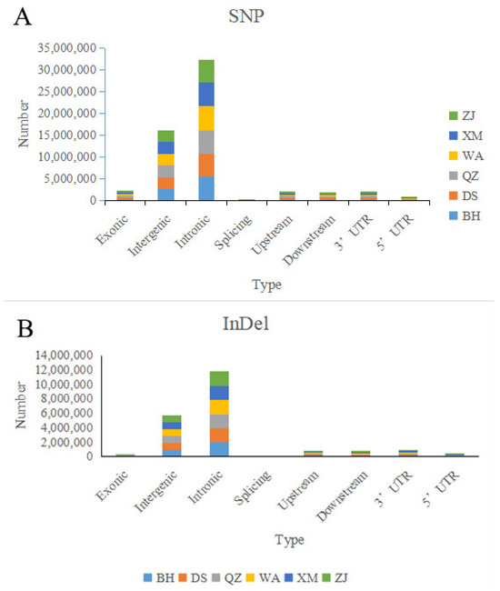 有名ブランド Genomic Insights into the Population Genetics and Adaptive 記念グッズ