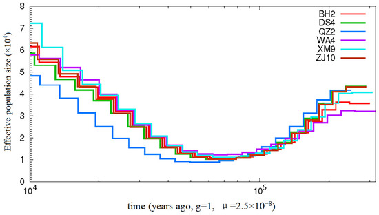 Genomic Insights into the Population Genetics and Adaptive